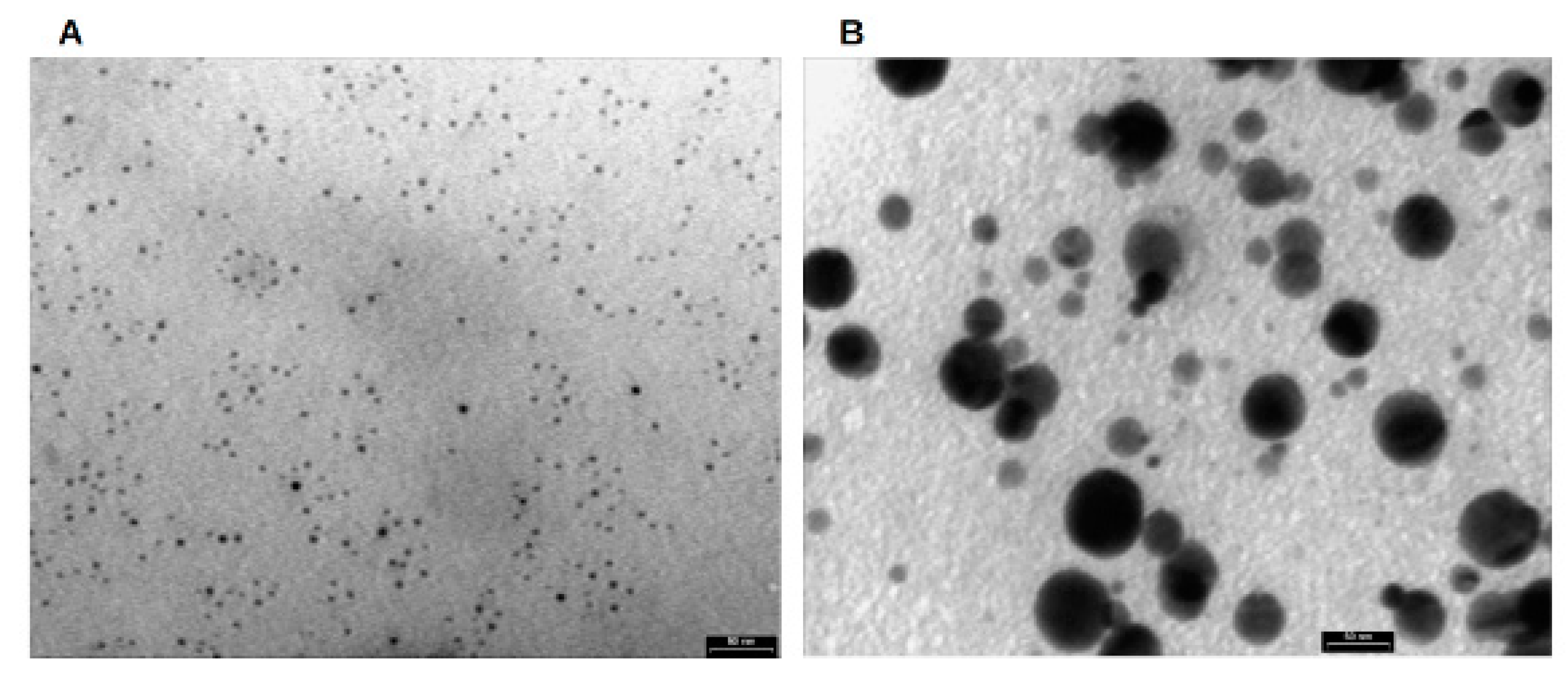 Marinedrugs 18 00038 g001