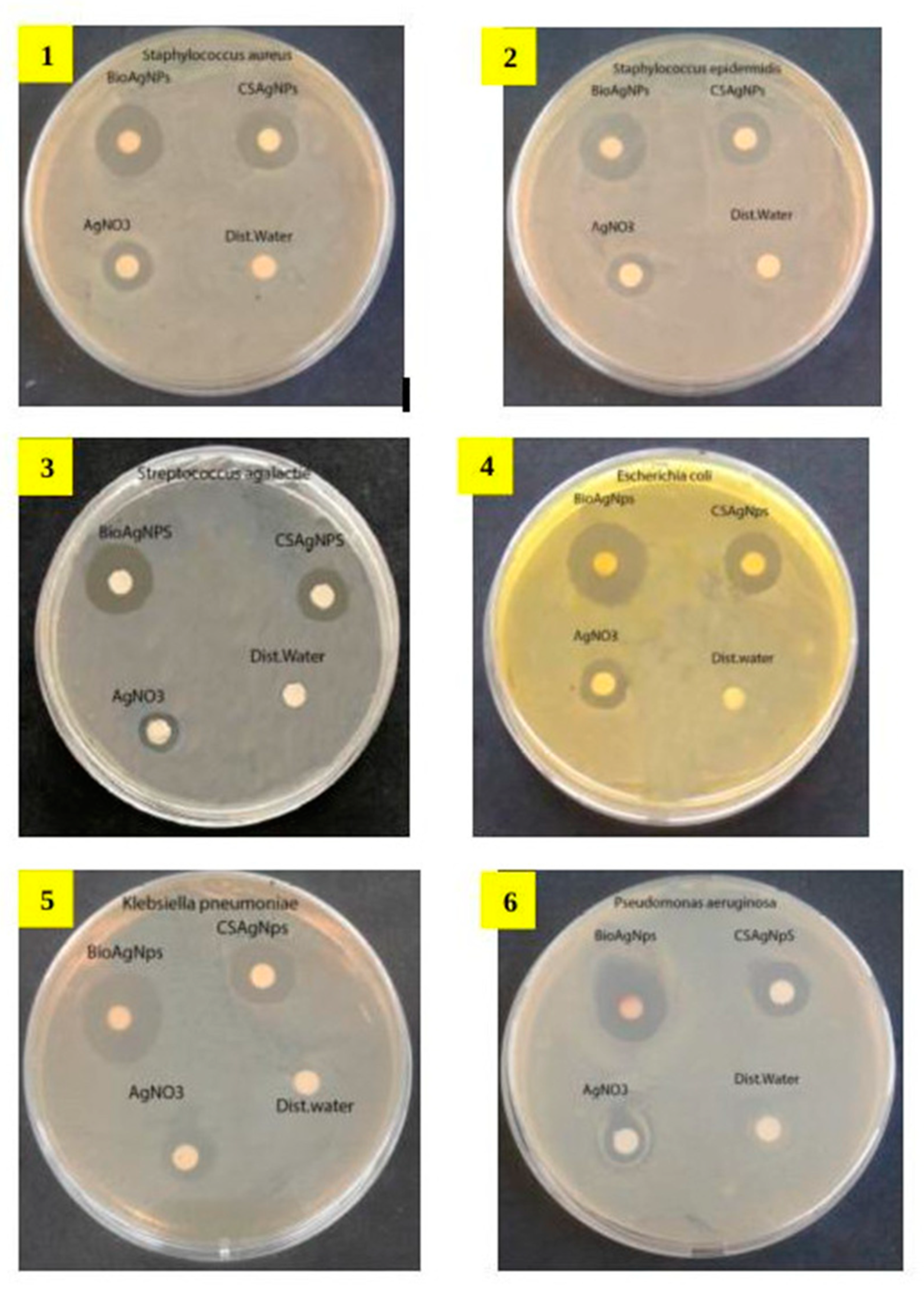 Marinedrugs 18 00038 g004a