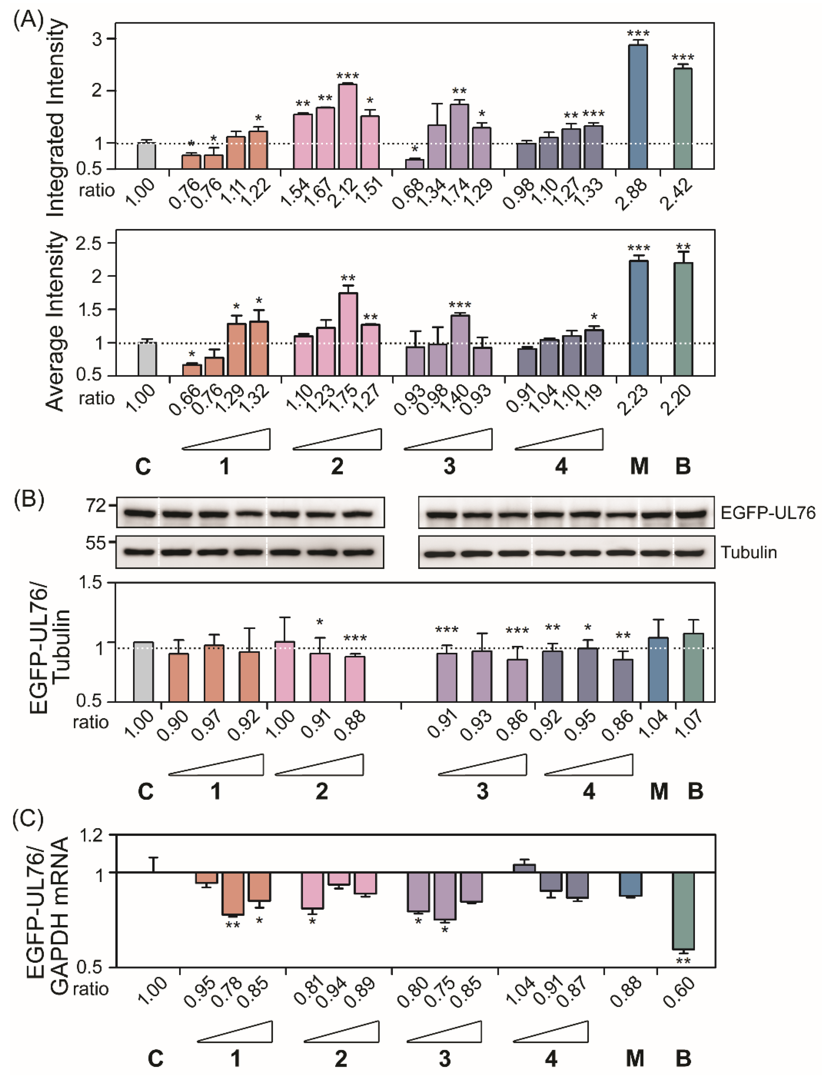 Marinedrugs 18 00039 g002 Marinedrugs 18 00039 g002