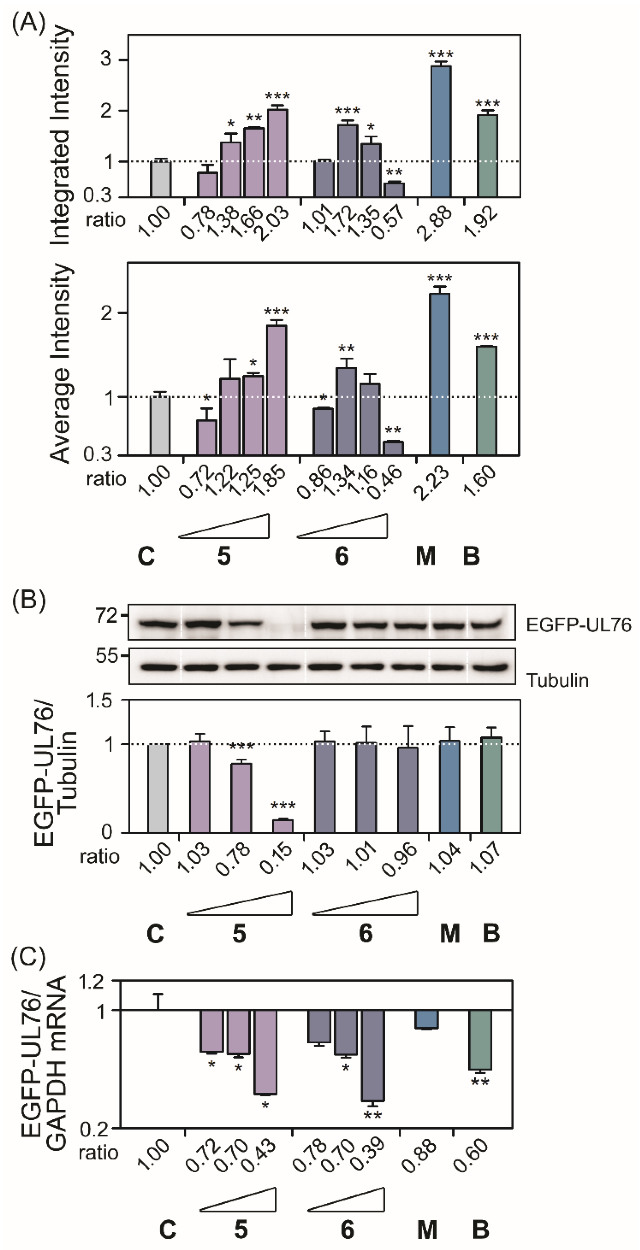 Marinedrugs 18 00039 g003 Marinedrugs 18 00039 g003