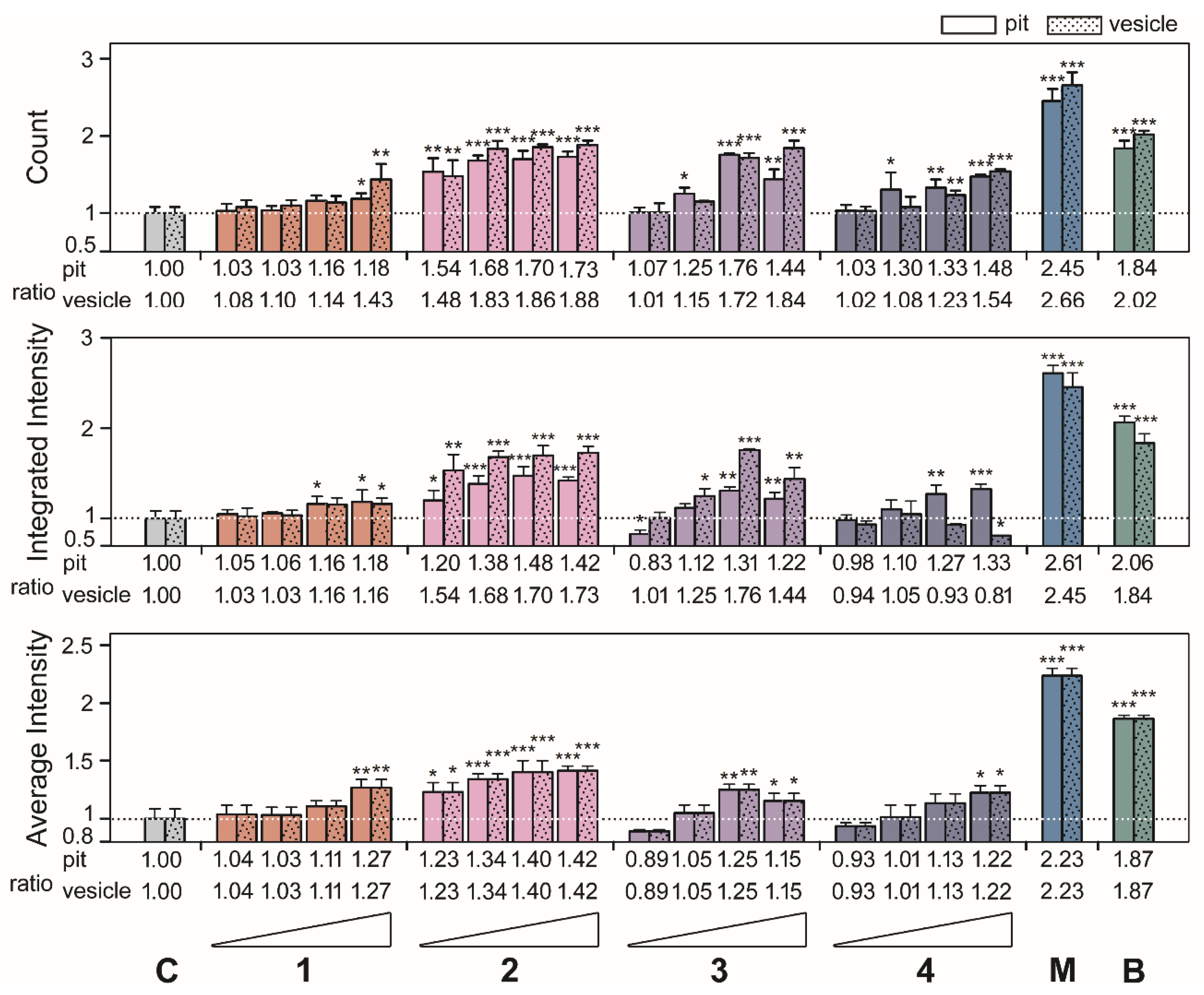 Marinedrugs 18 00039 g004 Marinedrugs 18 00039 g004