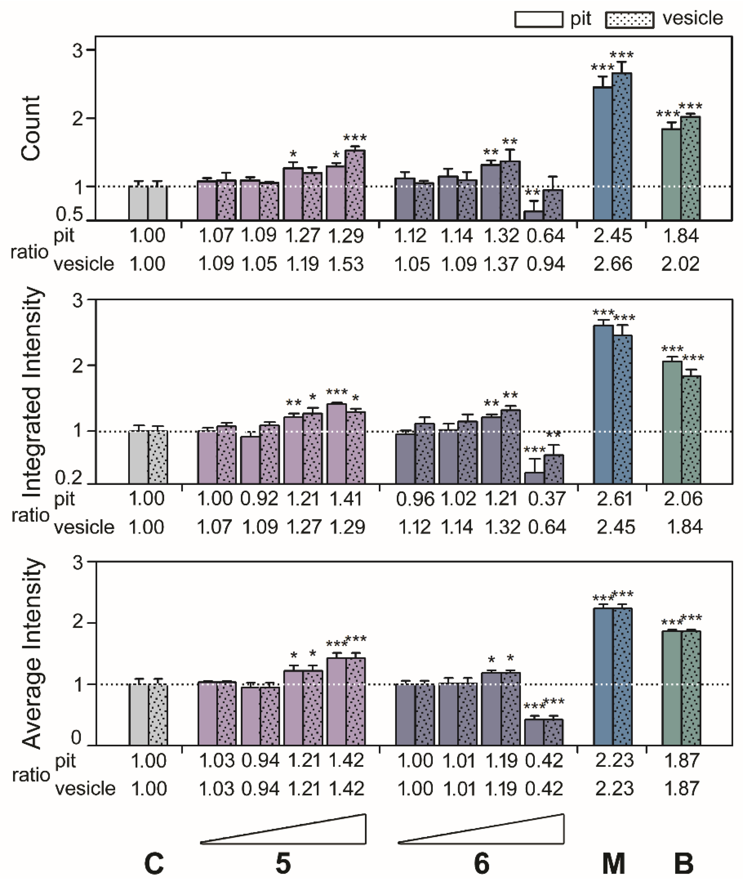 Marinedrugs 18 00039 g005 Marinedrugs 18 00039 g005
