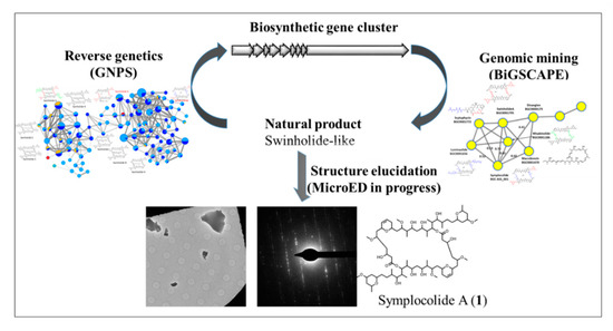 Marinedrugs 18 00040 i005 550