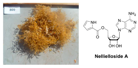 Marinedrugs 18 00040 i007 550