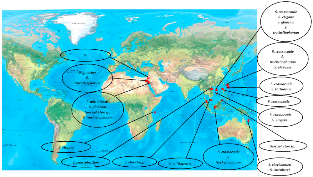 Marinedrugs 18 00041 g001