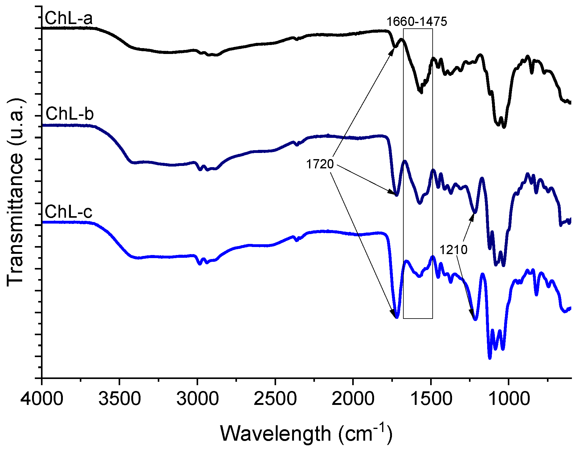 Marinedrugs 18 00044 g003