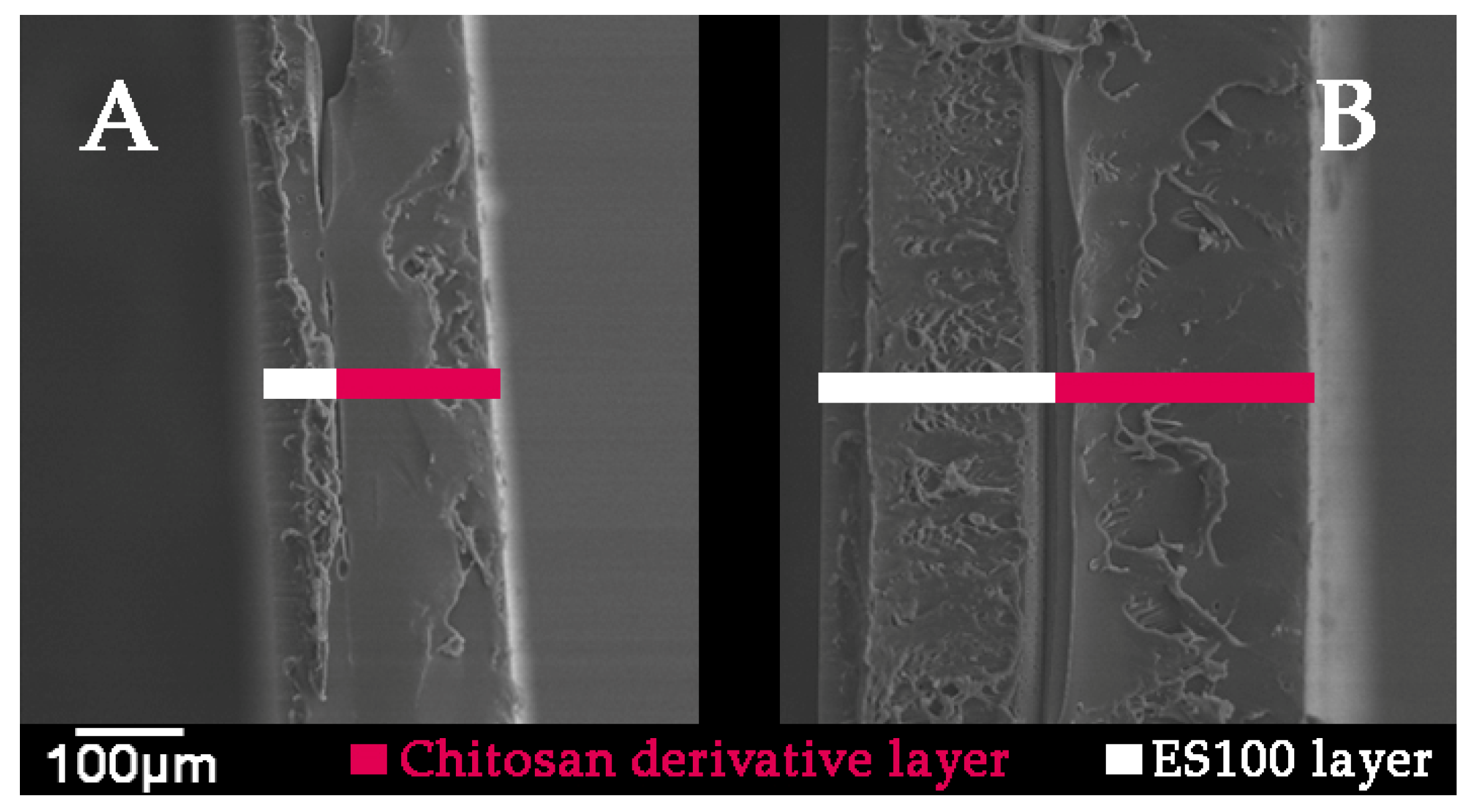 Marinedrugs 18 00044 g007