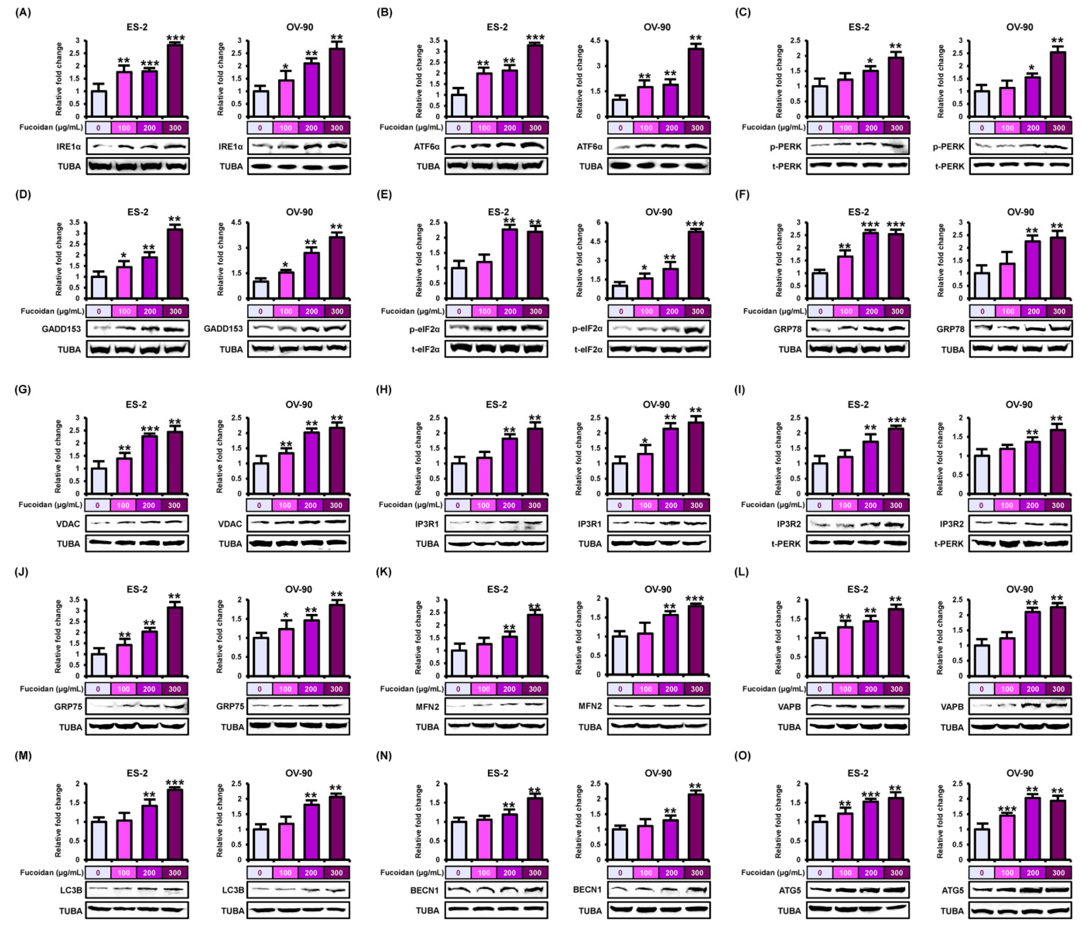 Marinedrugs 18 00045 g006