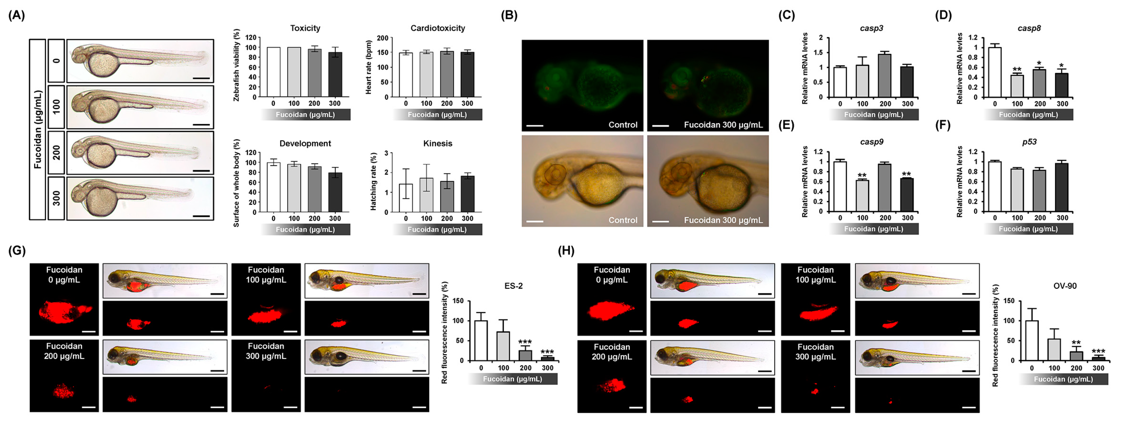 Marinedrugs 18 00045 g007