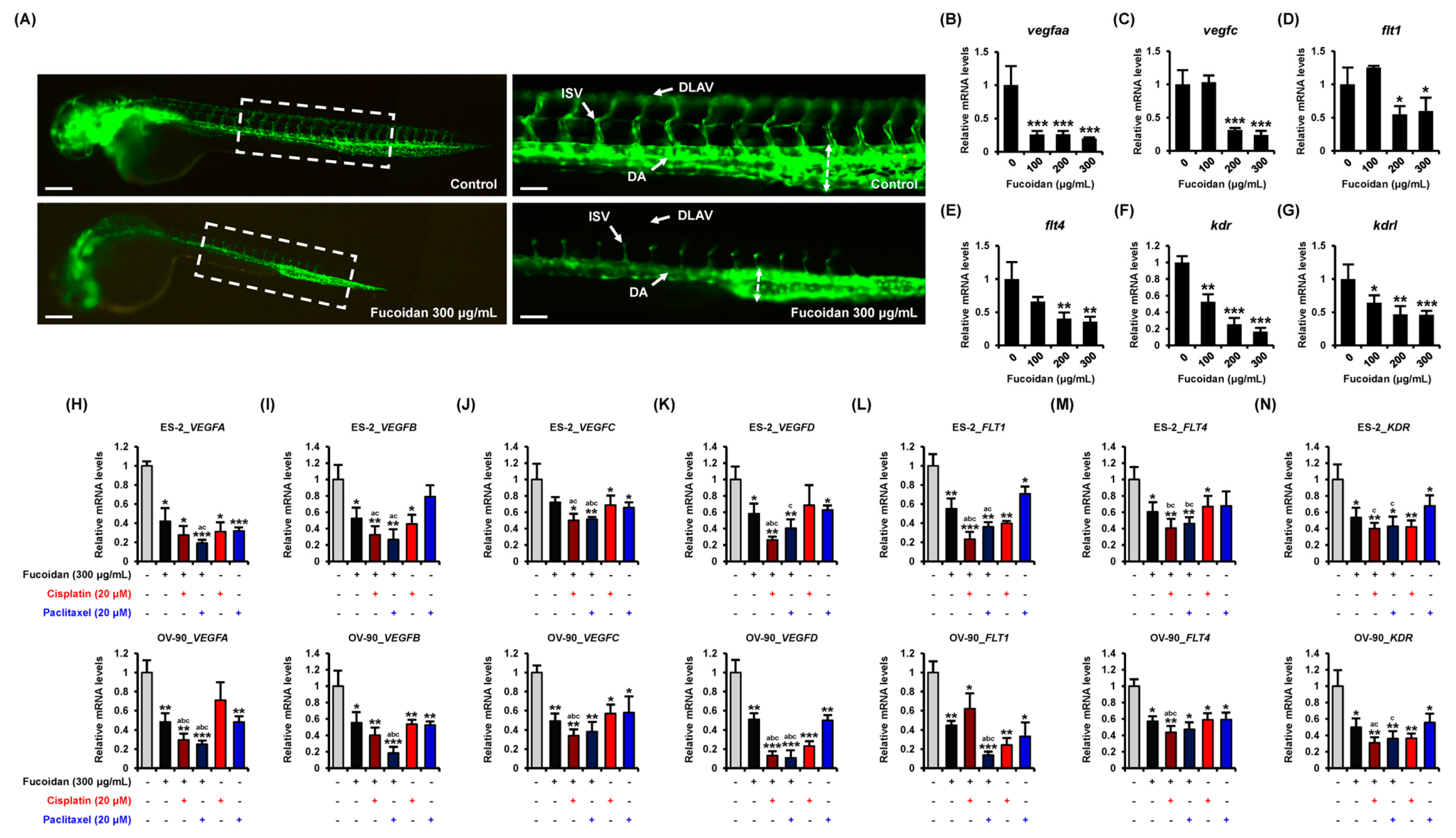 Marinedrugs 18 00045 g008
