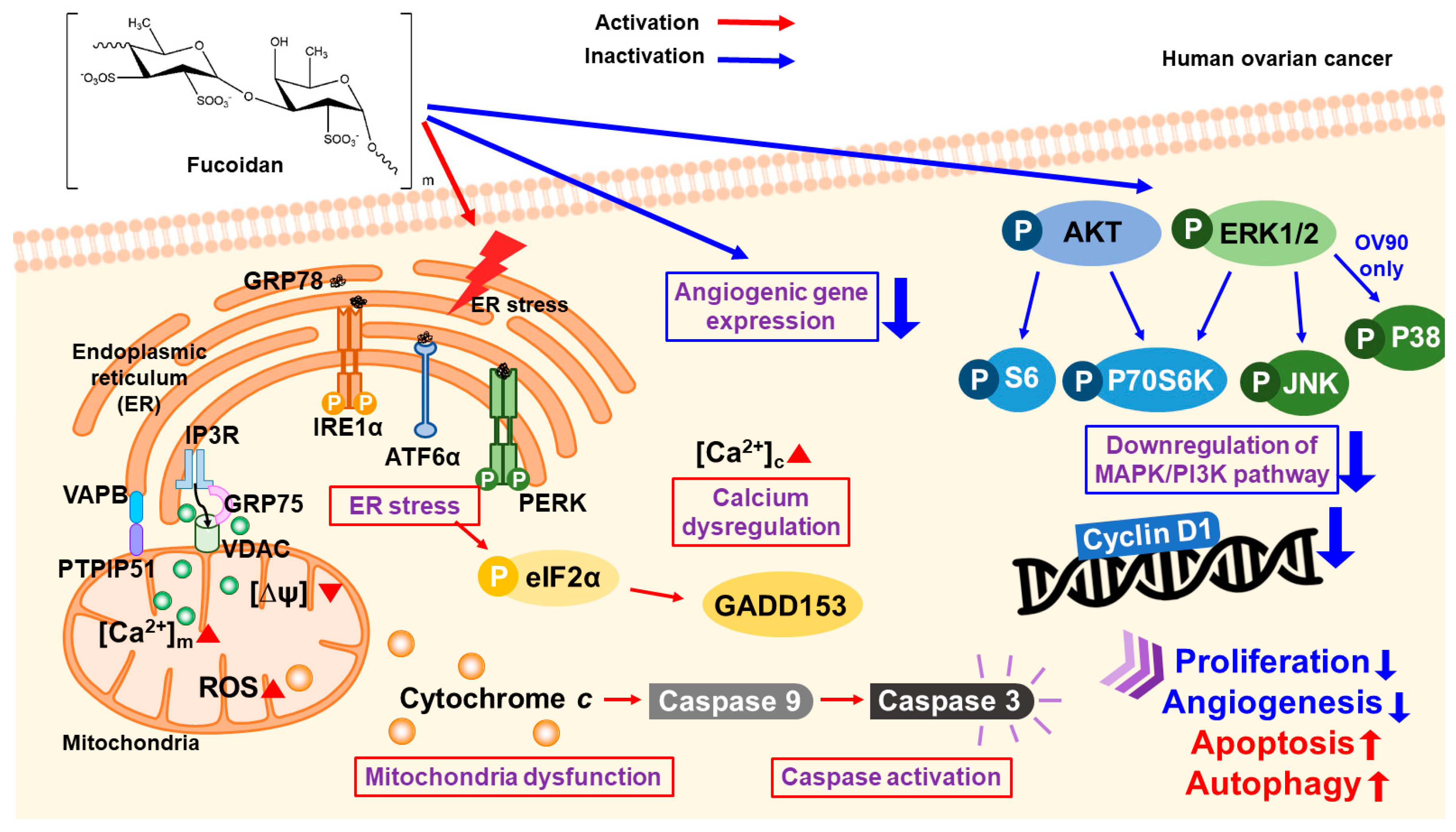 Marinedrugs 18 00045 g009
