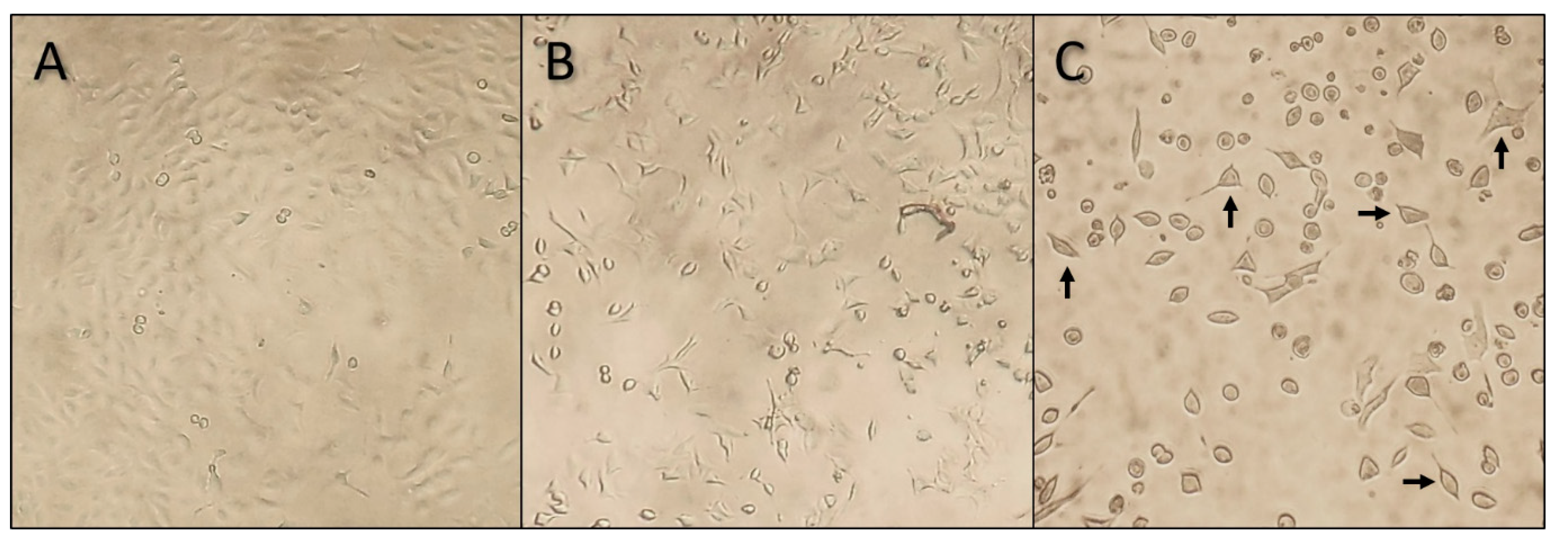 Marinedrugs 18 00046 g002