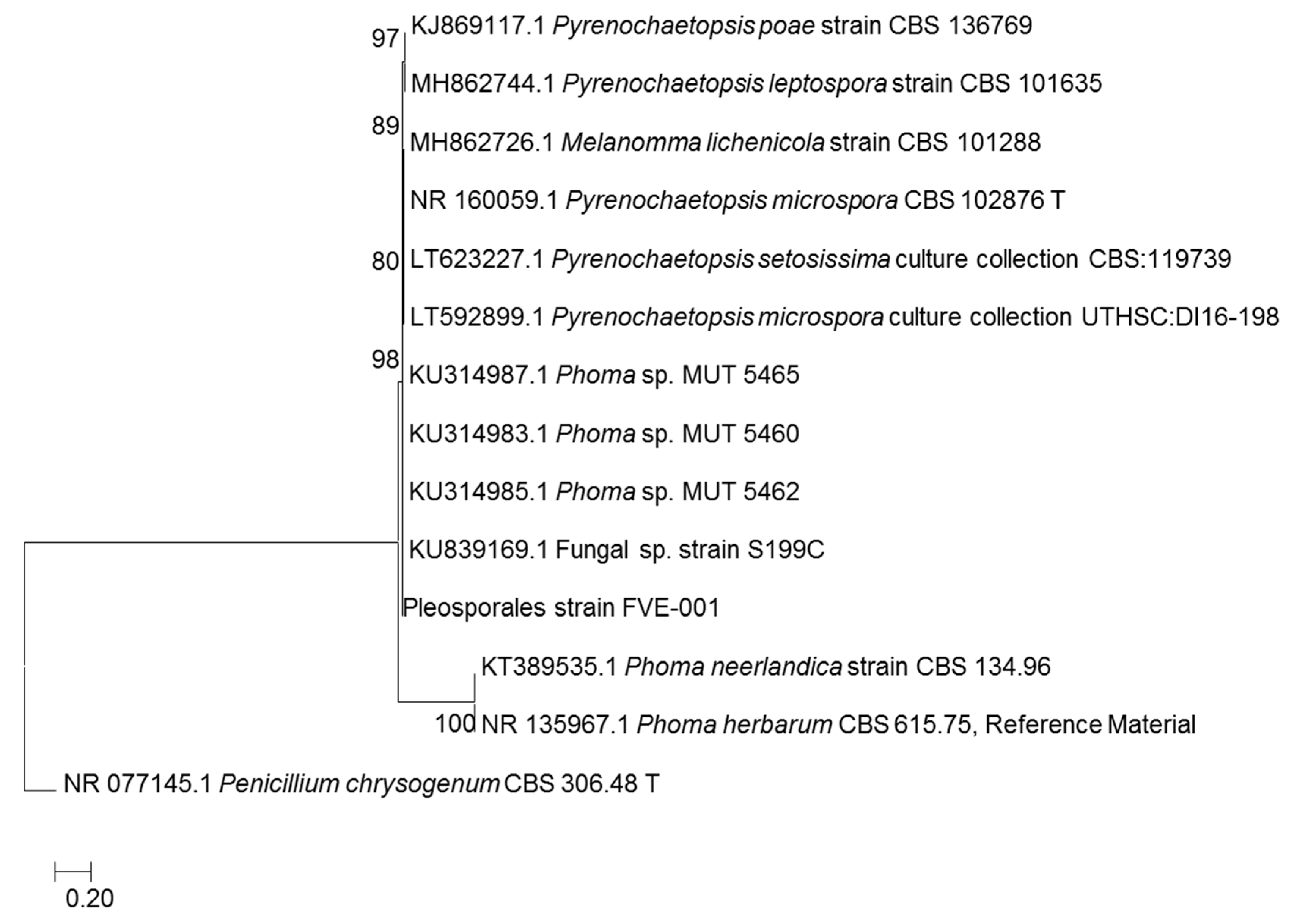 Marinedrugs 18 00047 g001