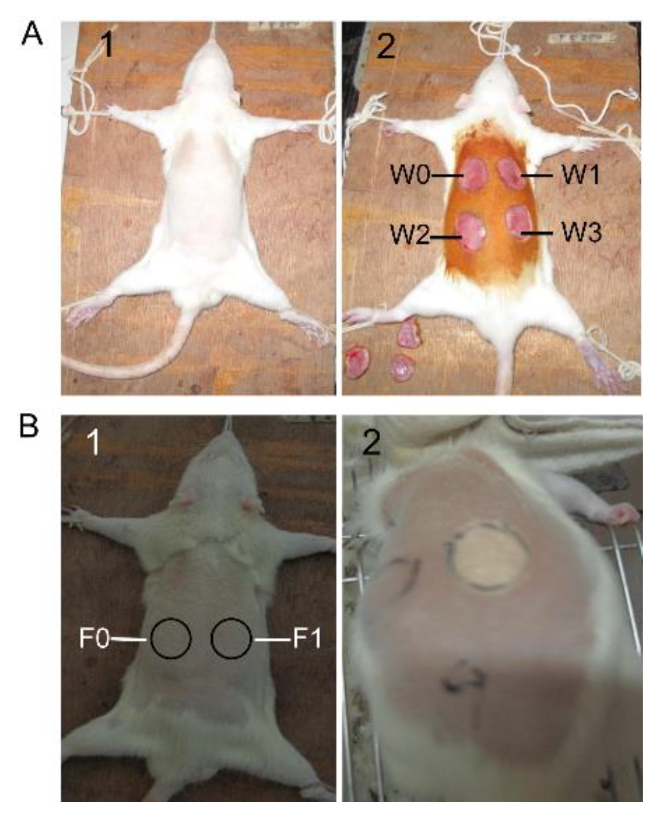 Marinedrugs 18 00048 g006 Marinedrugs 18 00048 g006