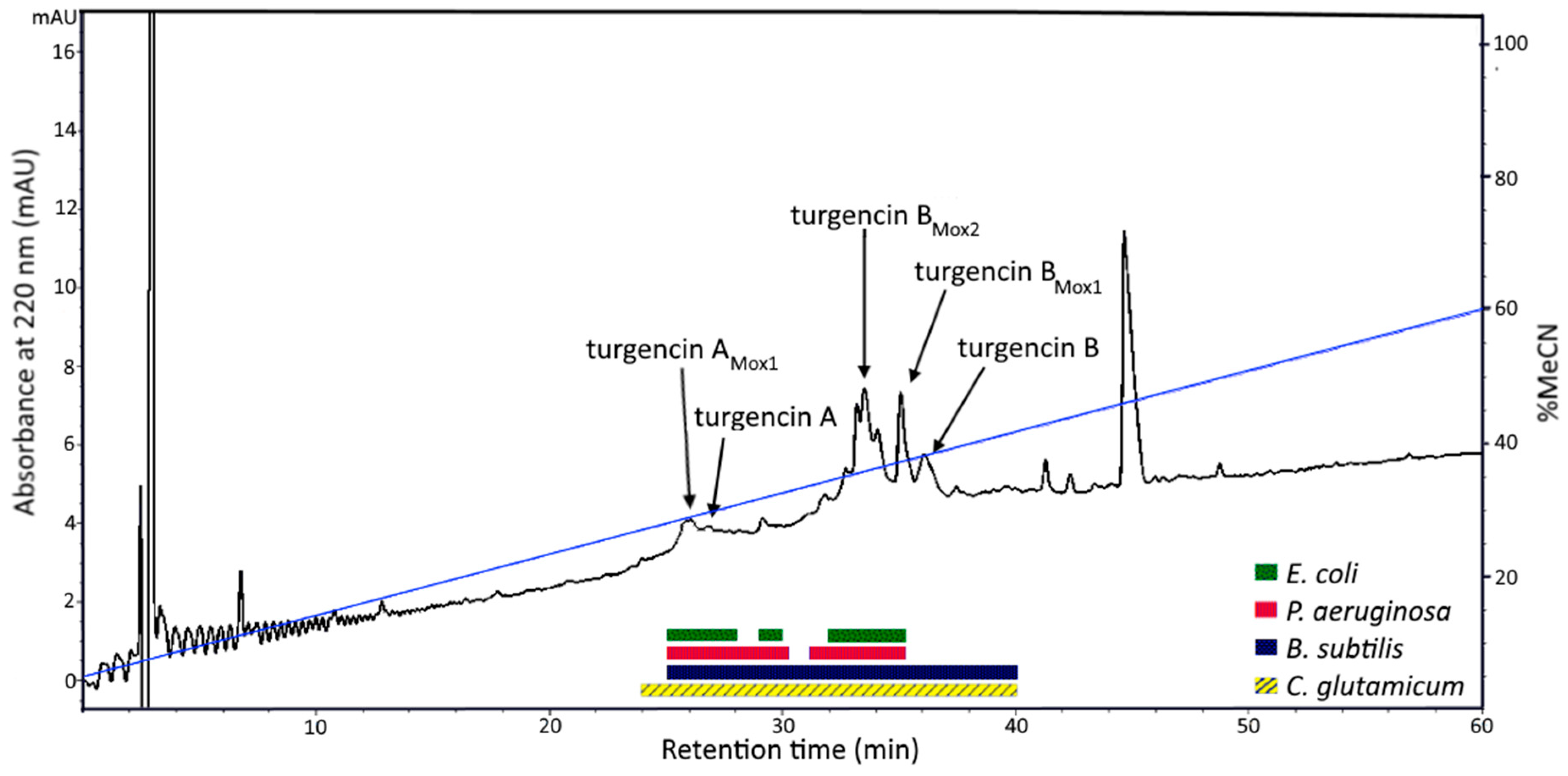 Marinedrugs 18 00051 g001 Marinedrugs 18 00051 g001