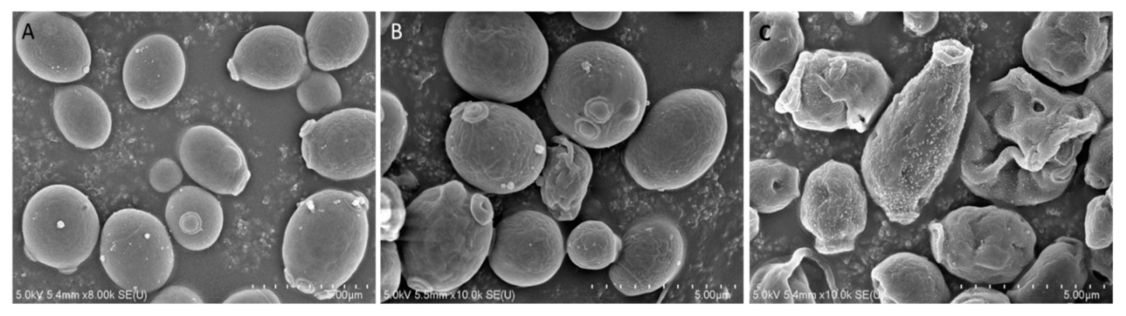 Marinedrugs 18 00056 g003