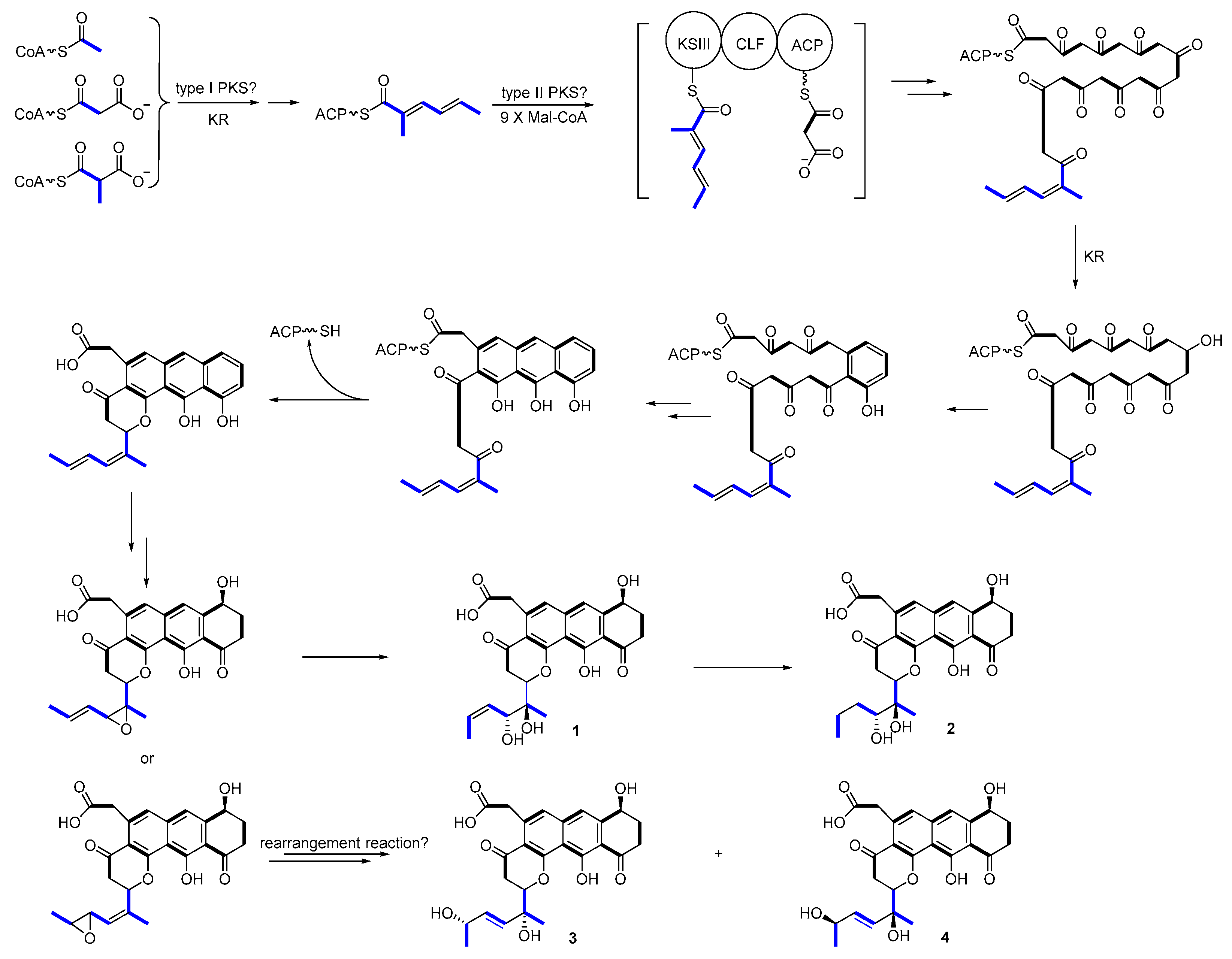 Marinedrugs 18 00058 g008