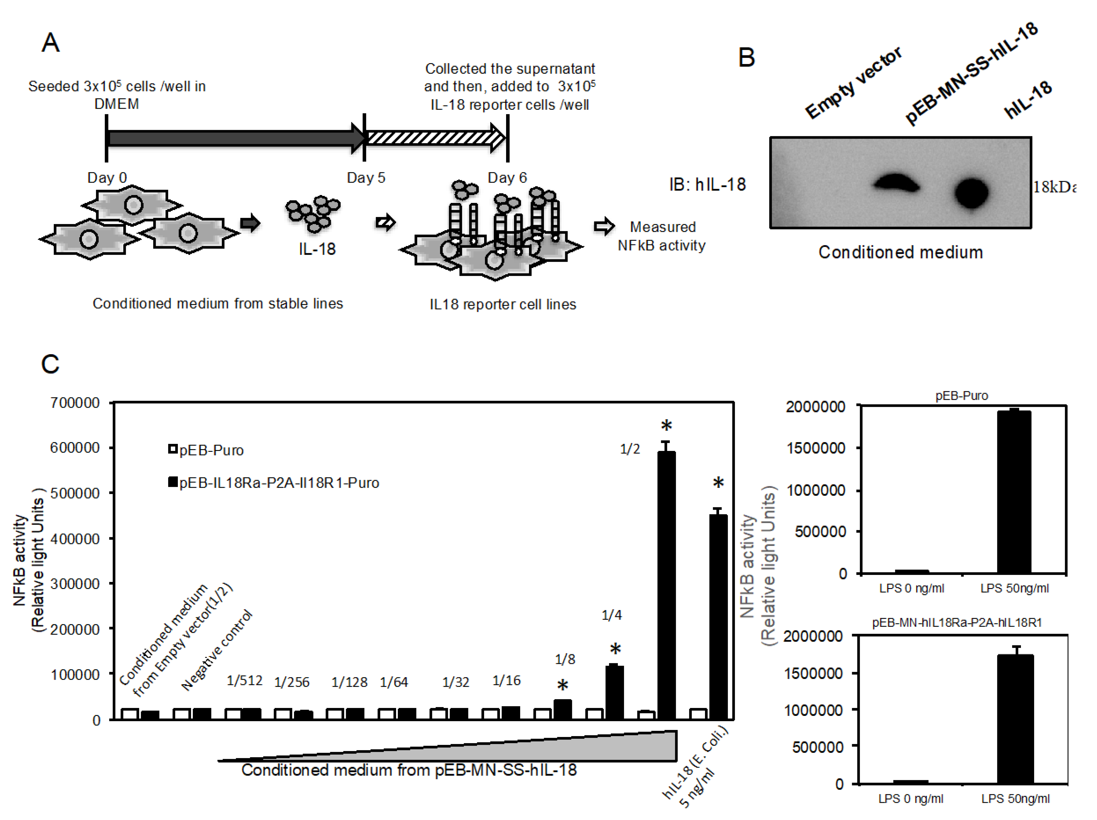 Marinedrugs 18 00060 g004