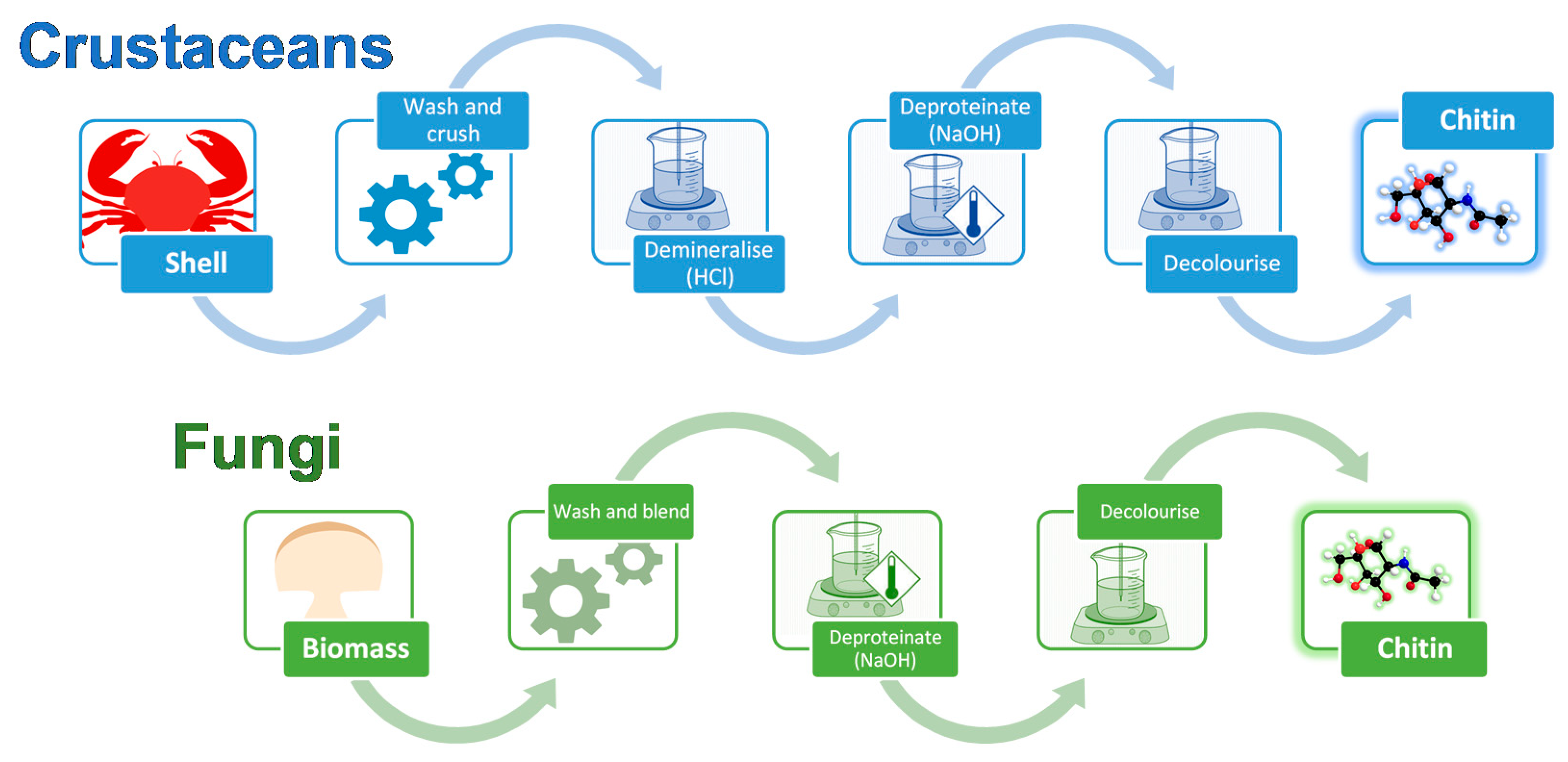 Marinedrugs 18 00064 g002