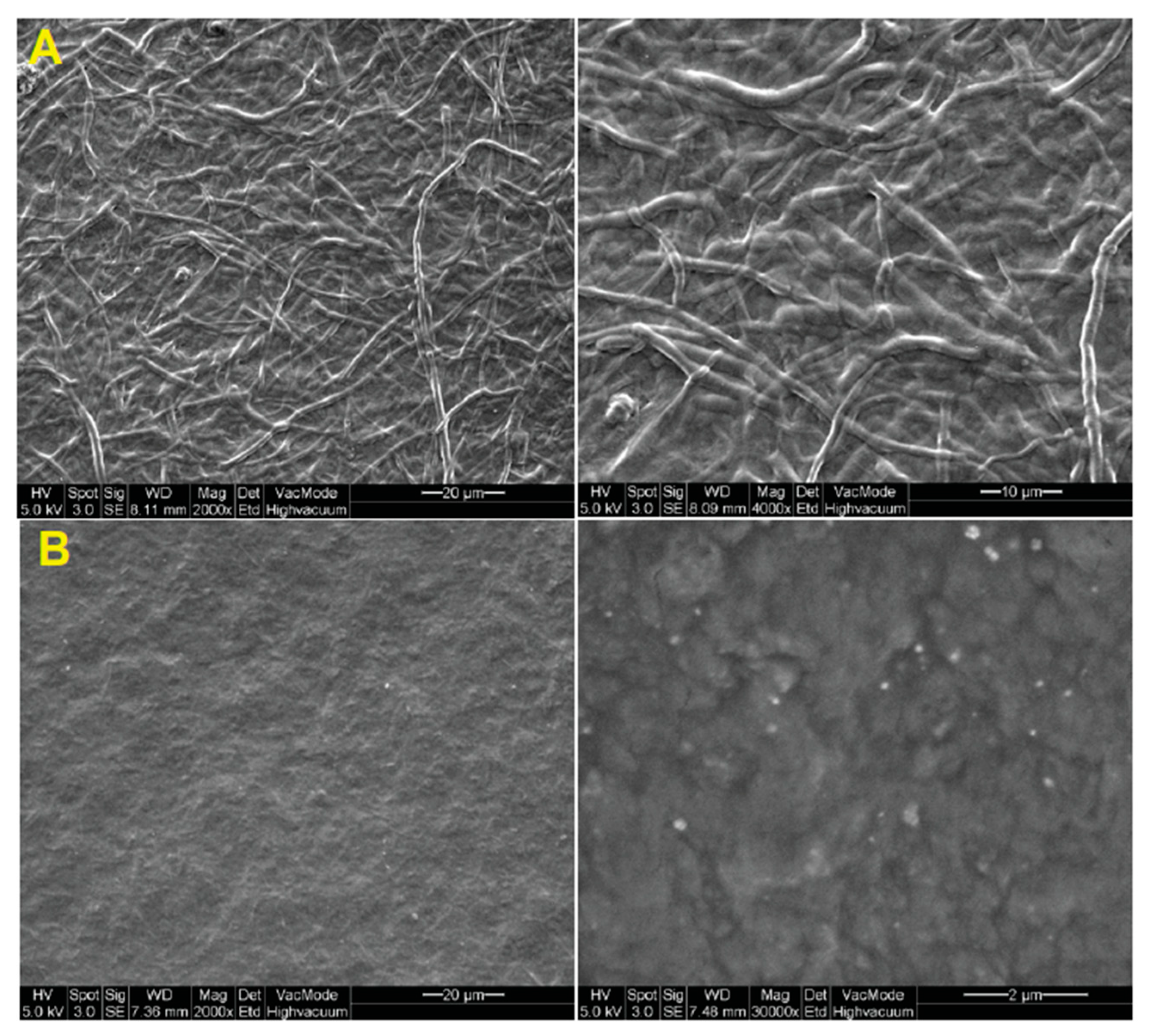 Marinedrugs 18 00064 g007