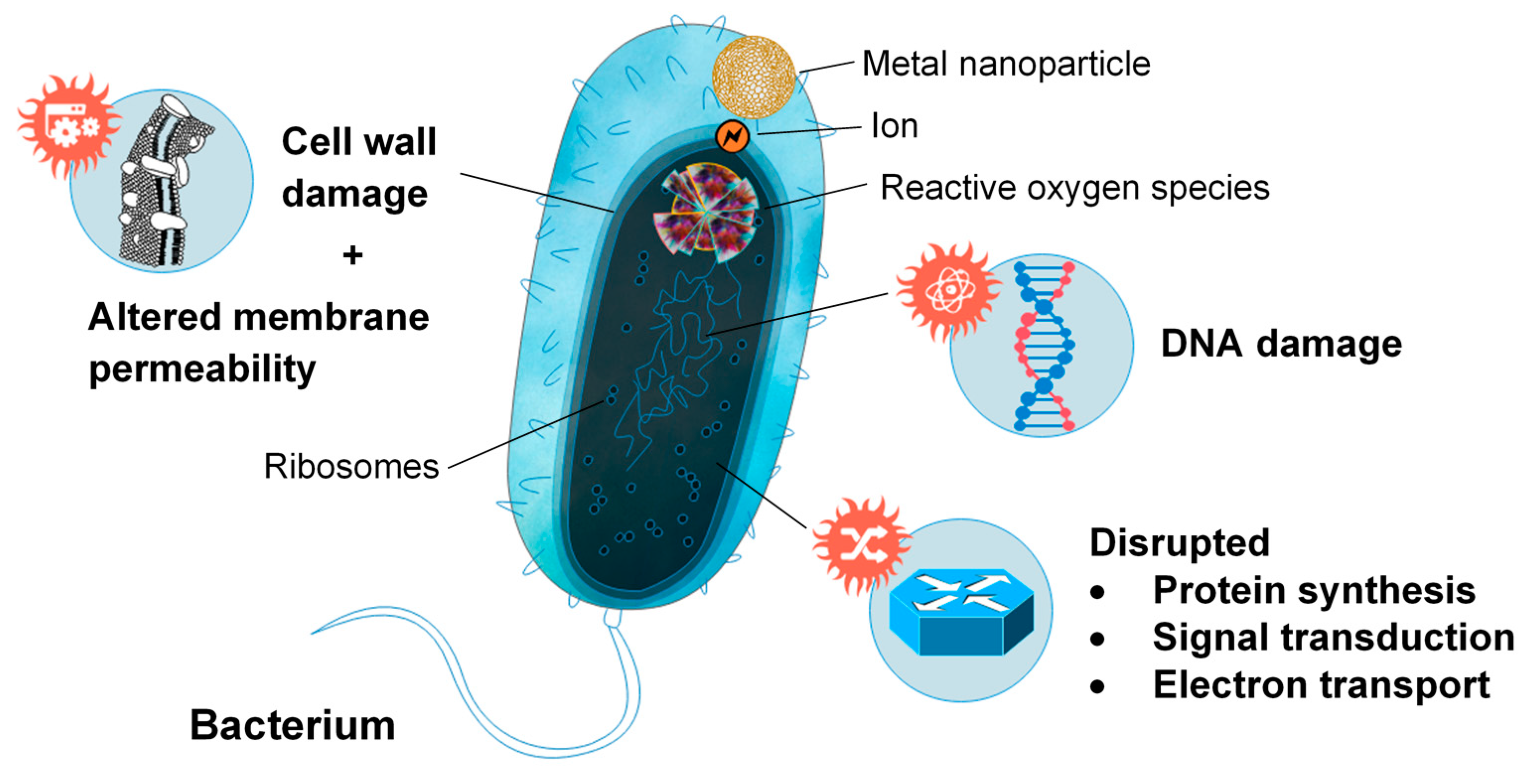 Marinedrugs 18 00064 g009