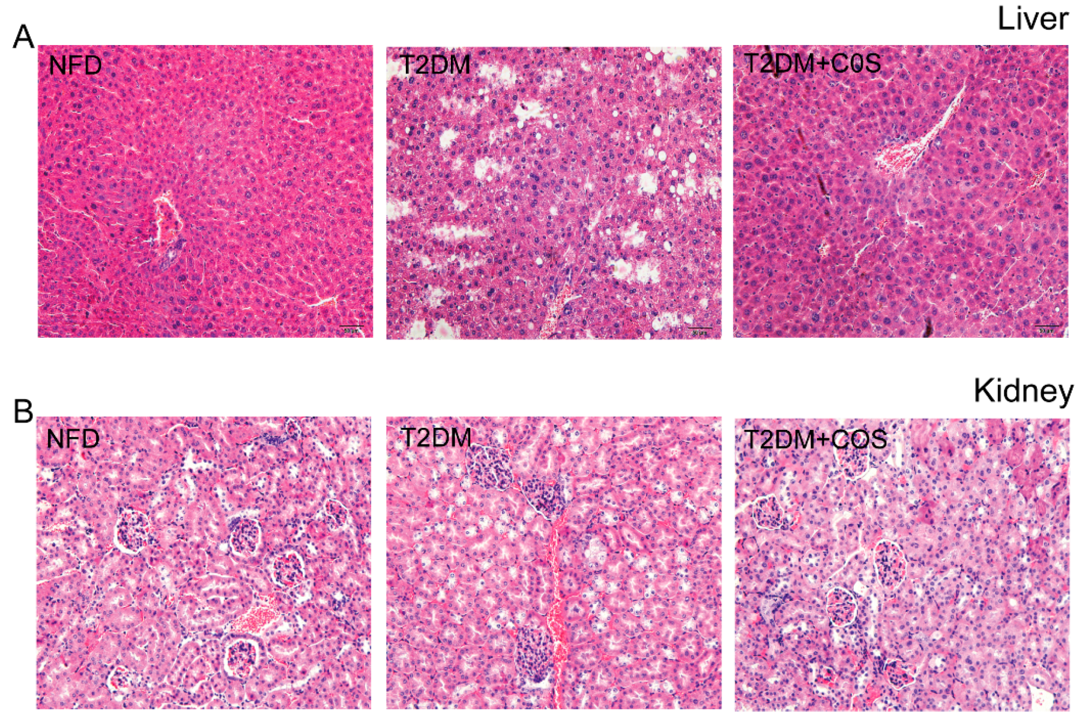 Marinedrugs 18 00069 g002