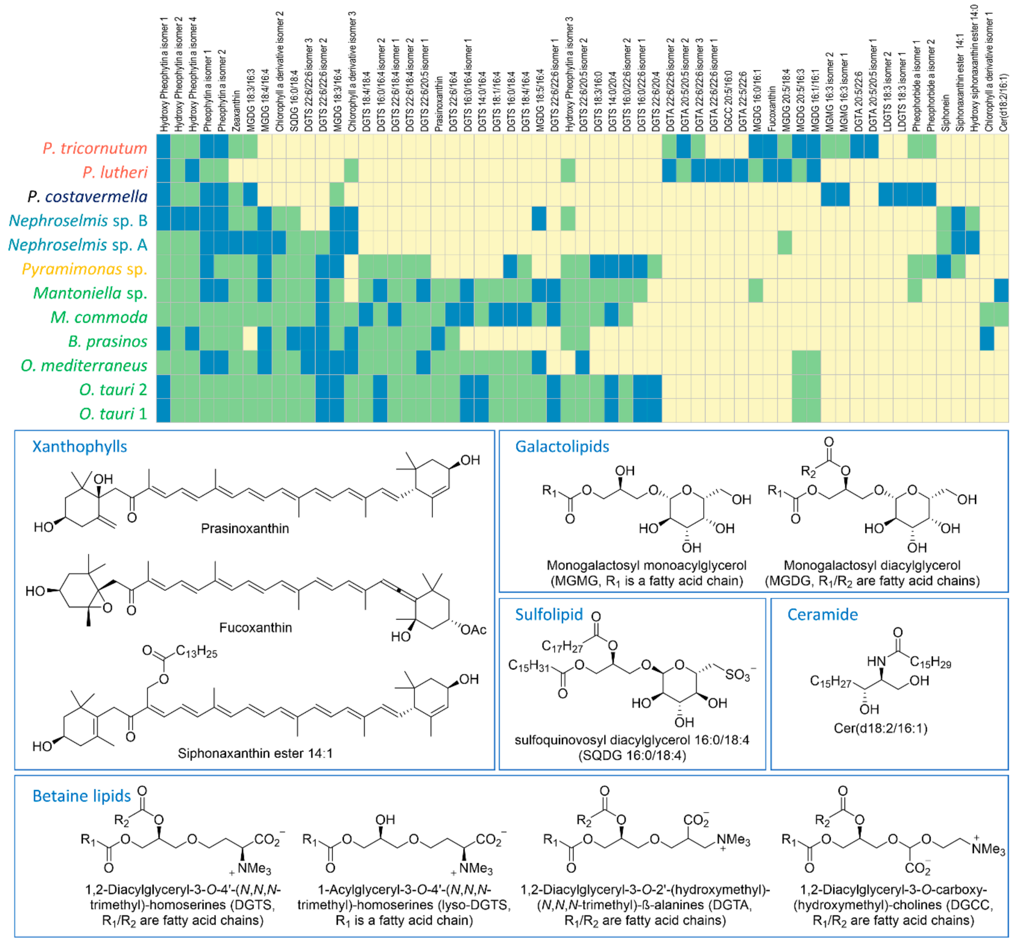 Marinedrugs 18 00078 g002