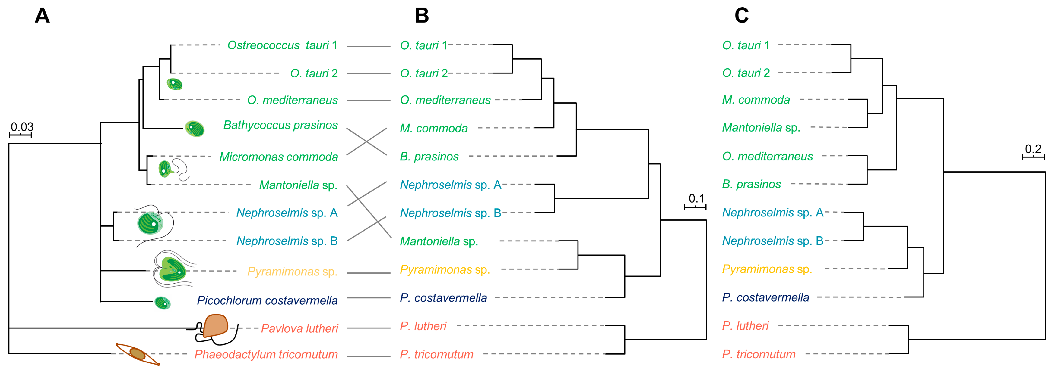 Marinedrugs 18 00078 g004