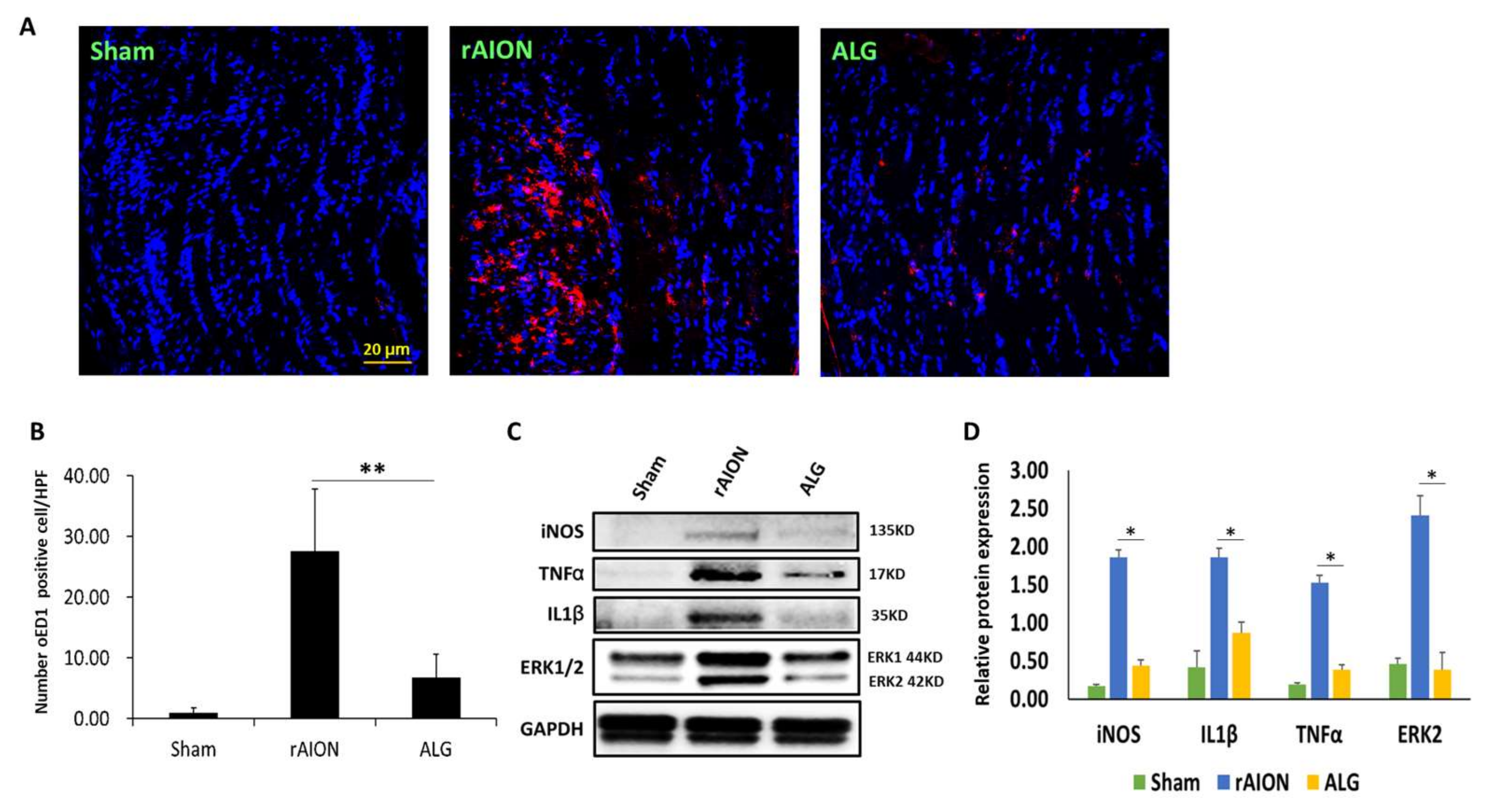 Marinedrugs 18 00083 g004