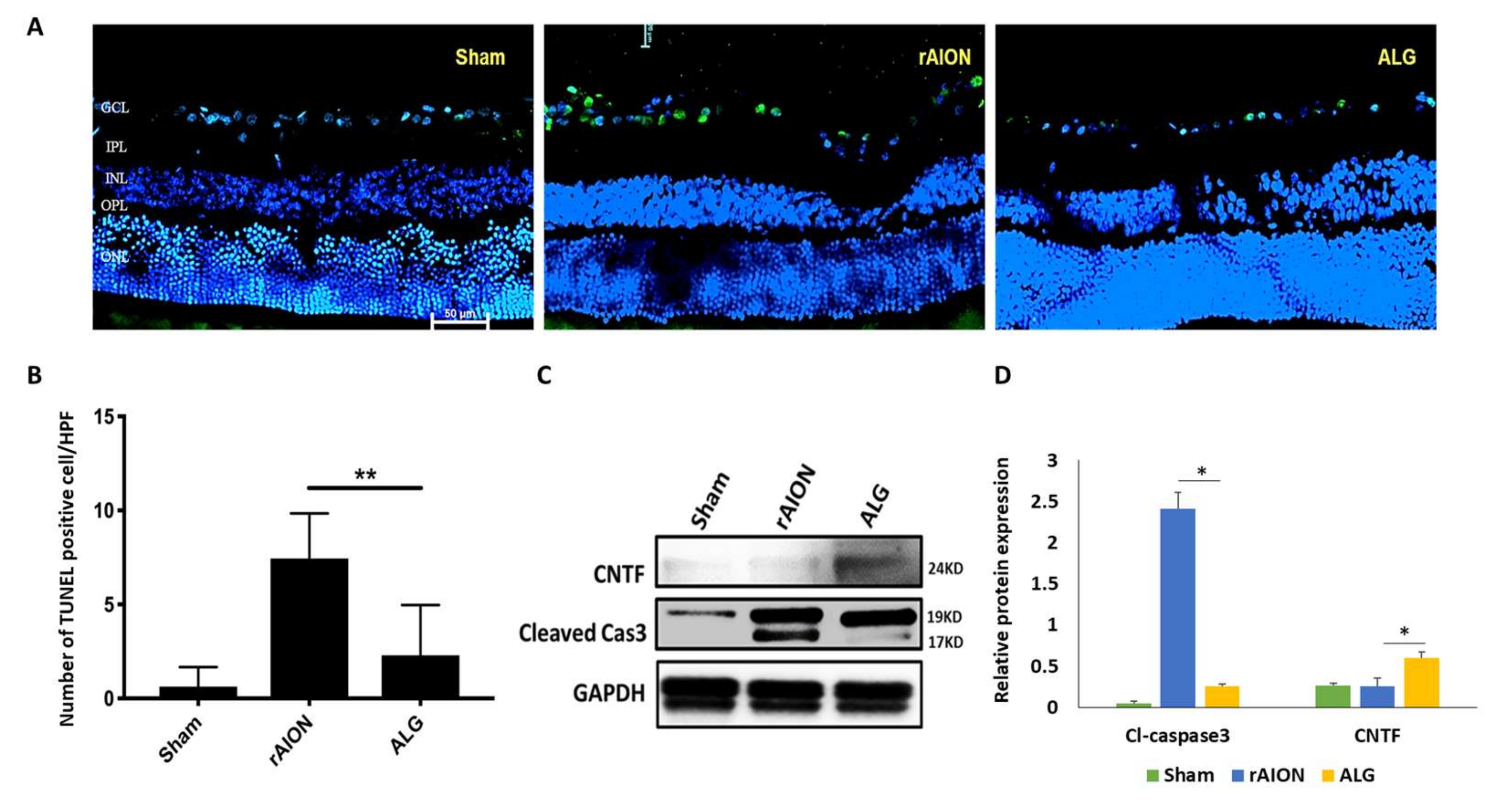 Marinedrugs 18 00083 g005