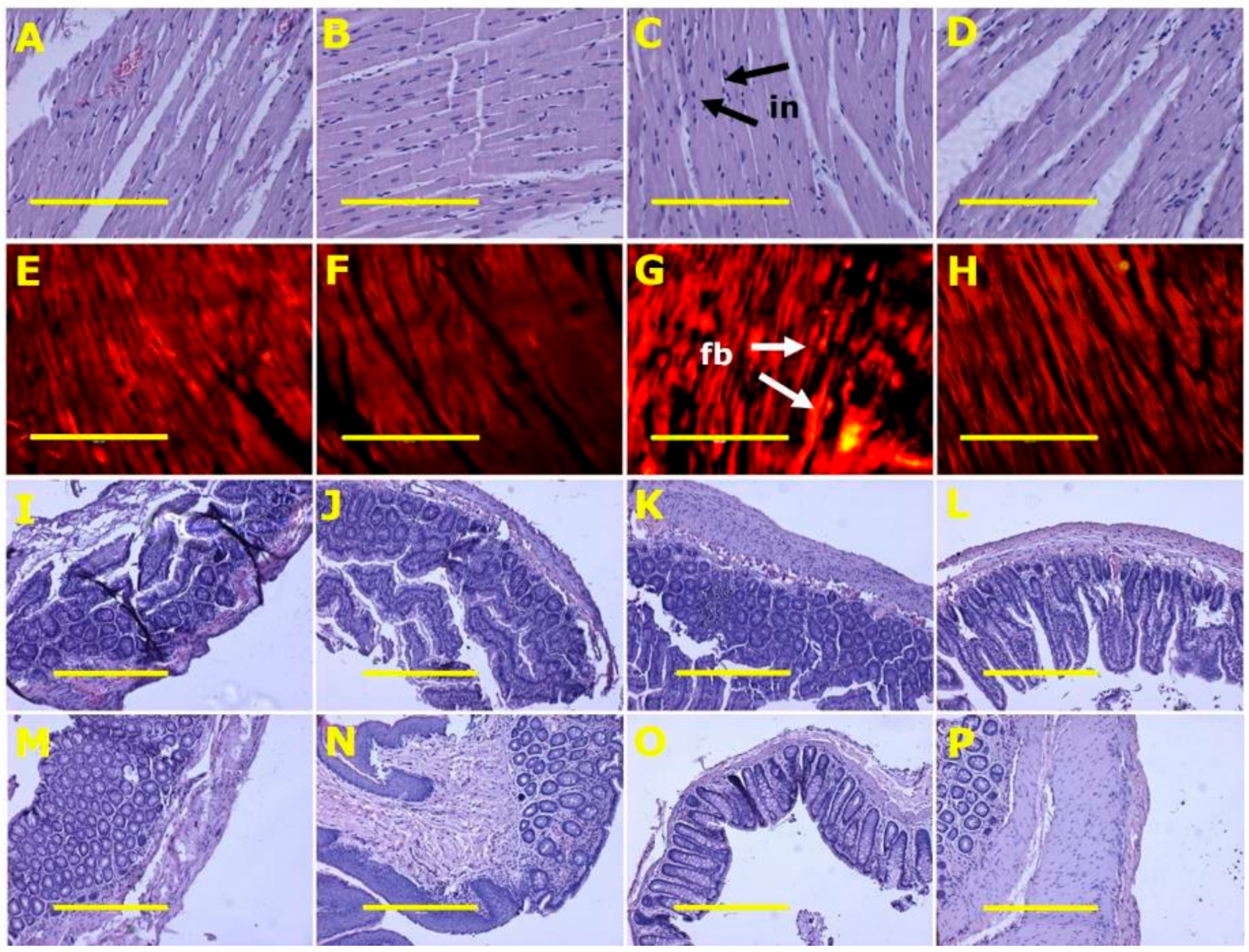 Marinedrugs 18 00097 g003 Marinedrugs 18 00097 g003