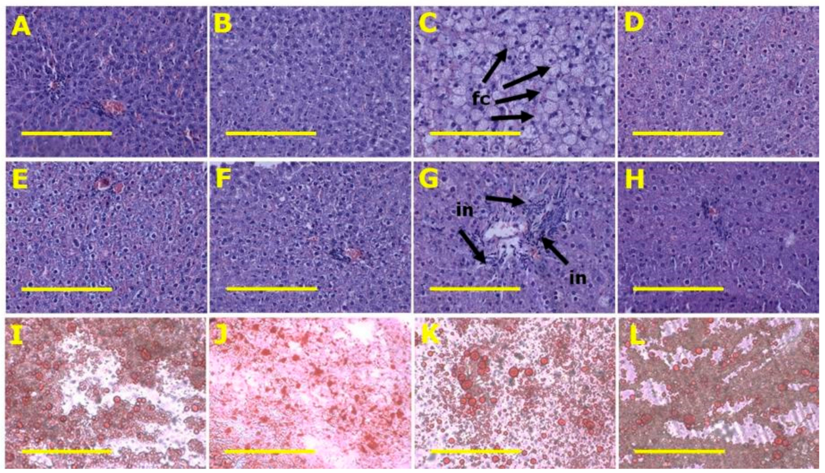 Marinedrugs 18 00097 g004 Marinedrugs 18 00097 g004