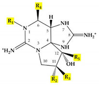 Marinedrugs 18 00103 i001 Marinedrugs 18 00103 i001