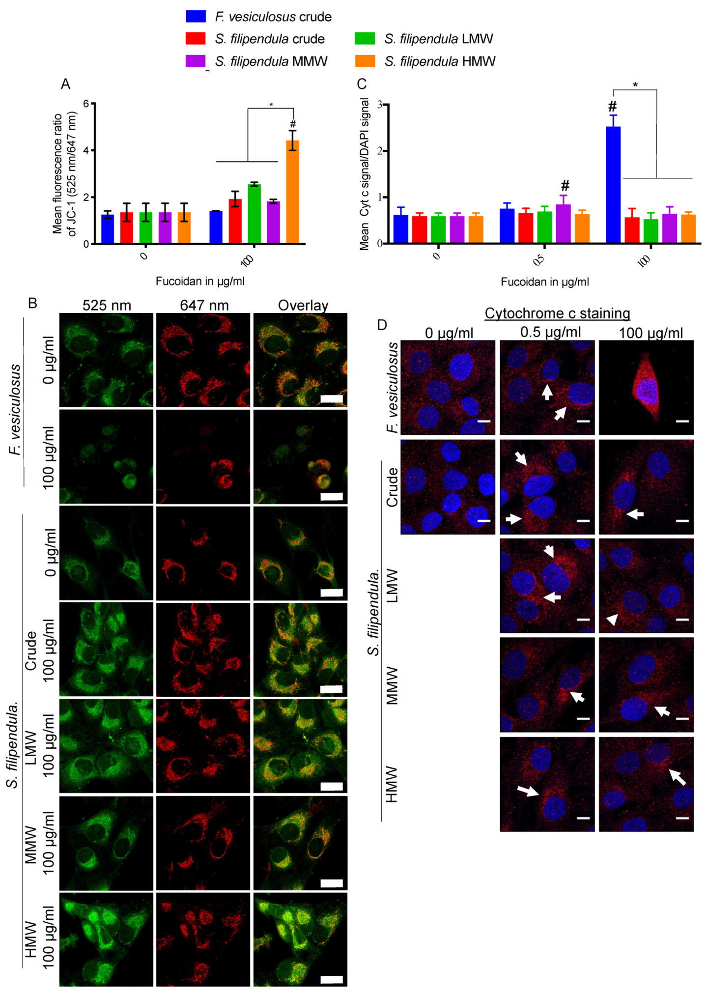 Marinedrugs 18 00104 g008