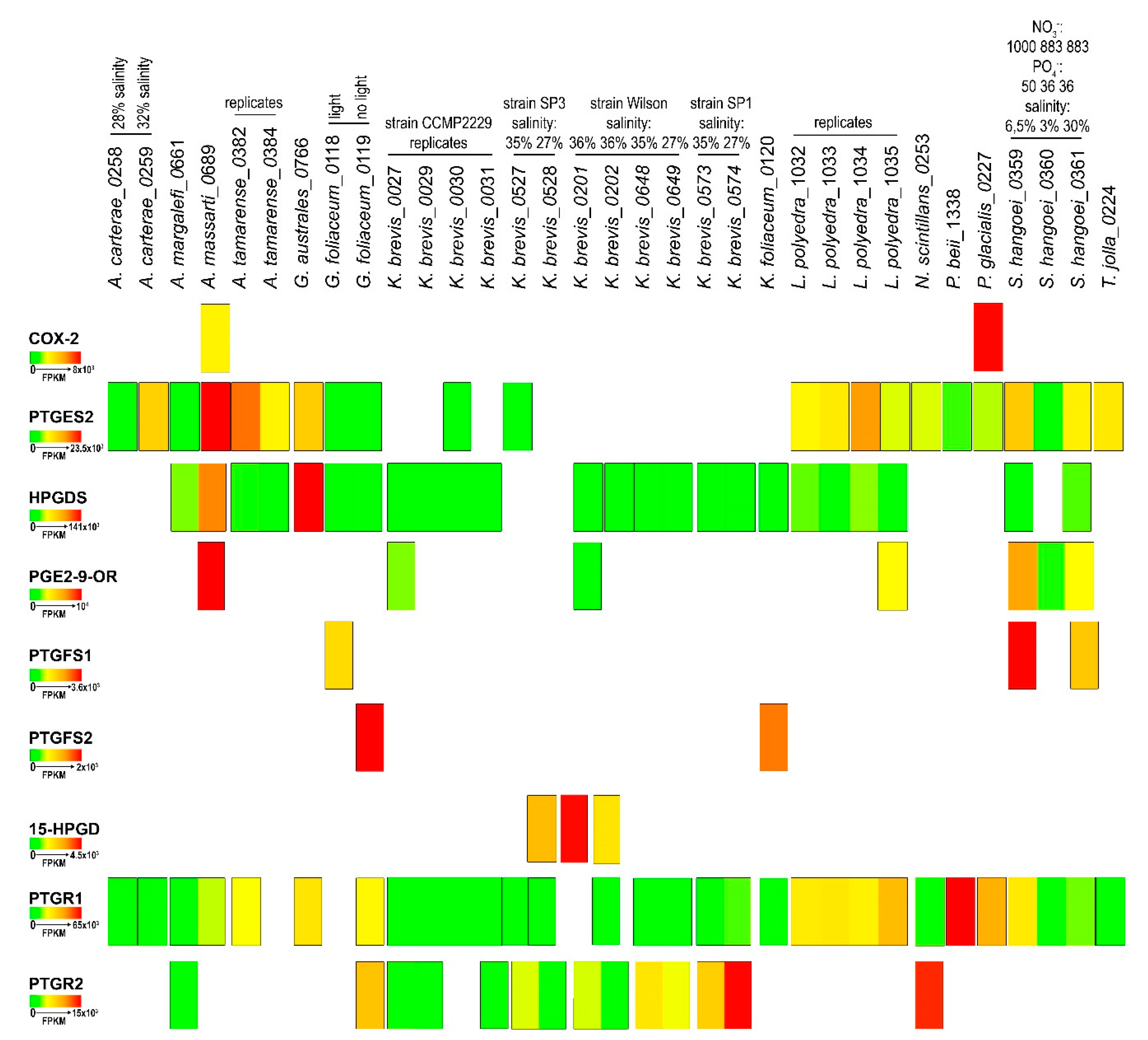 Marinedrugs 18 00109 g002 Marinedrugs 18 00109 g002