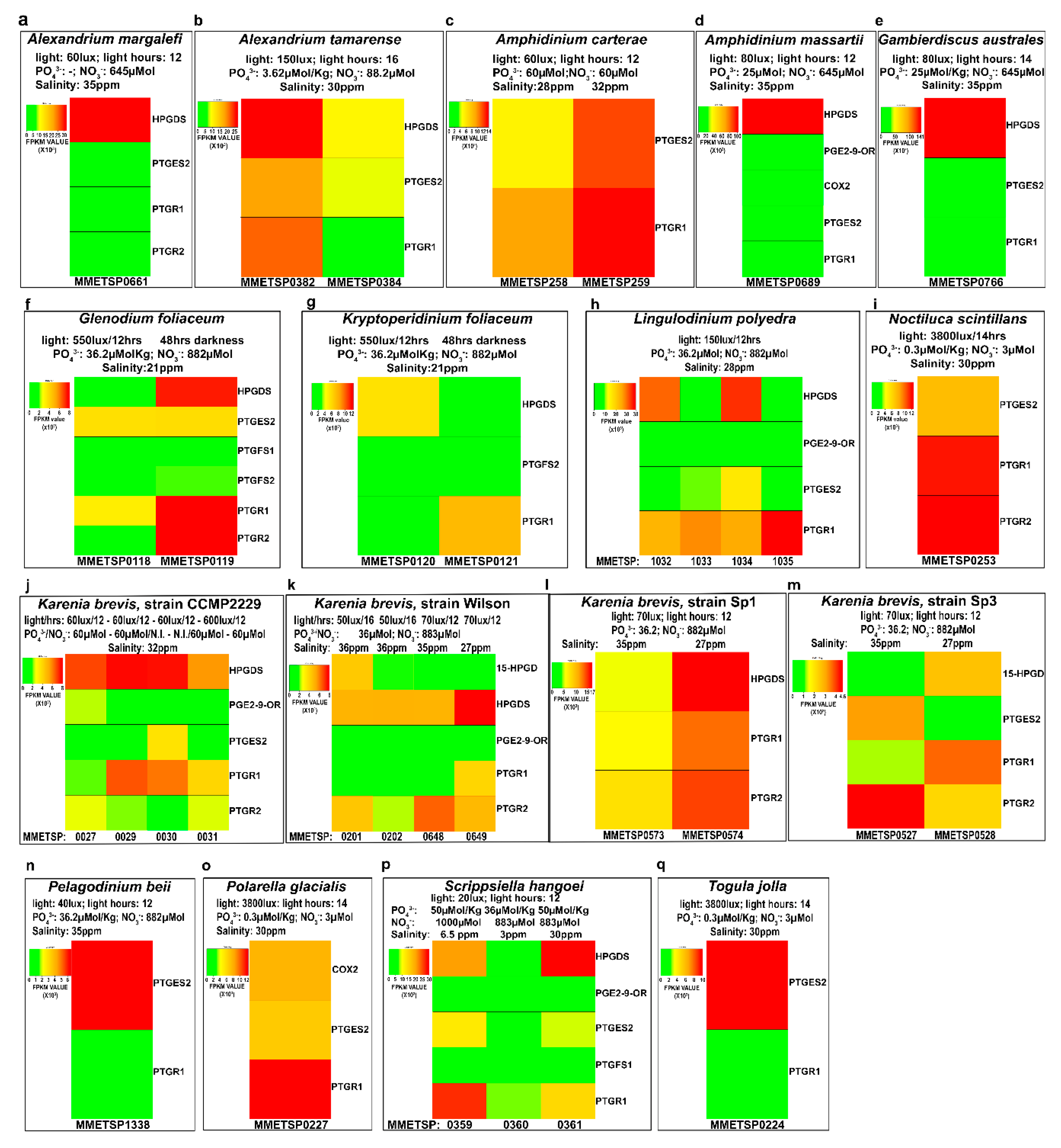 Marinedrugs 18 00109 g003 Marinedrugs 18 00109 g003