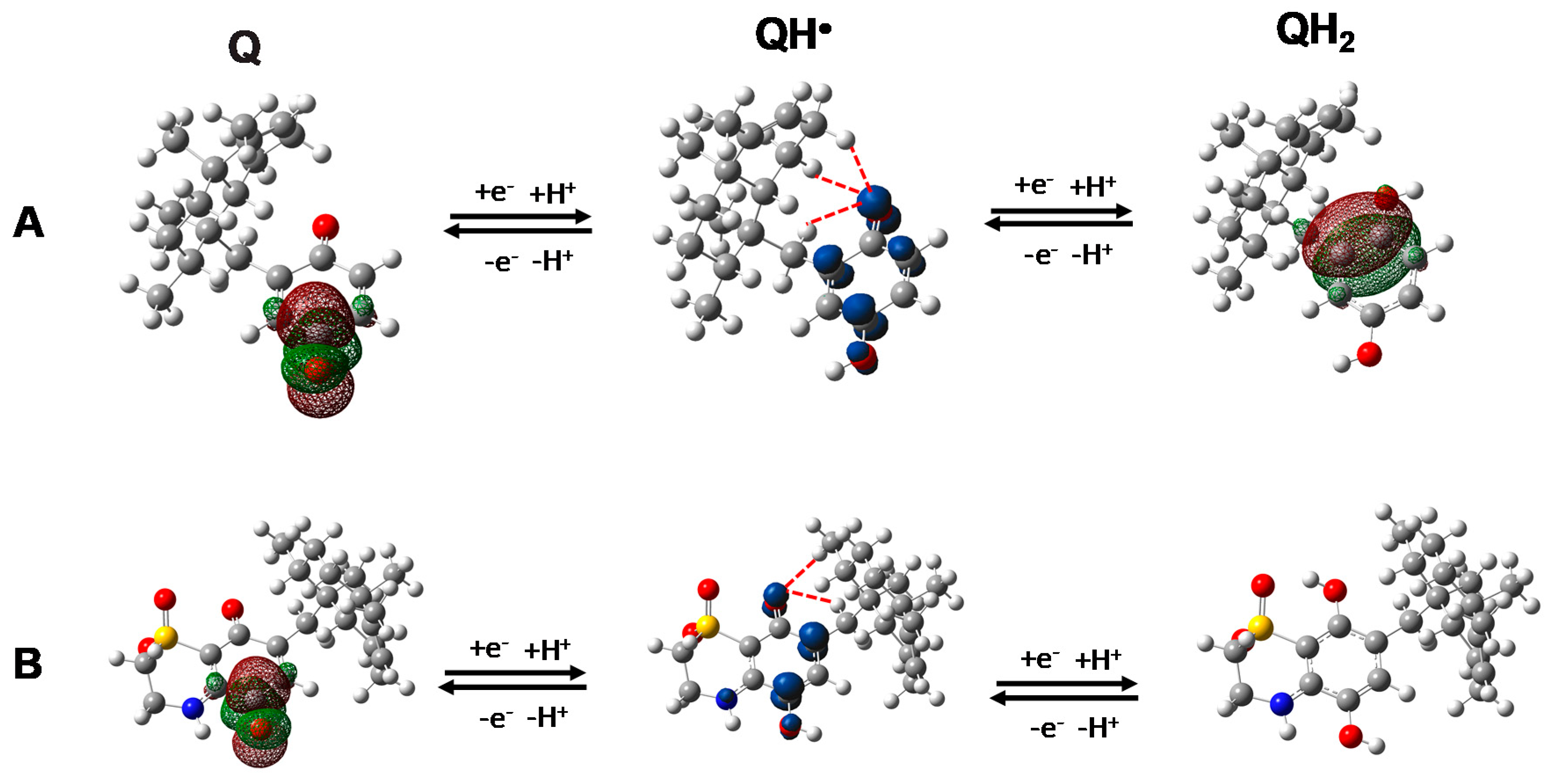 Marinedrugs 18 00112 g007