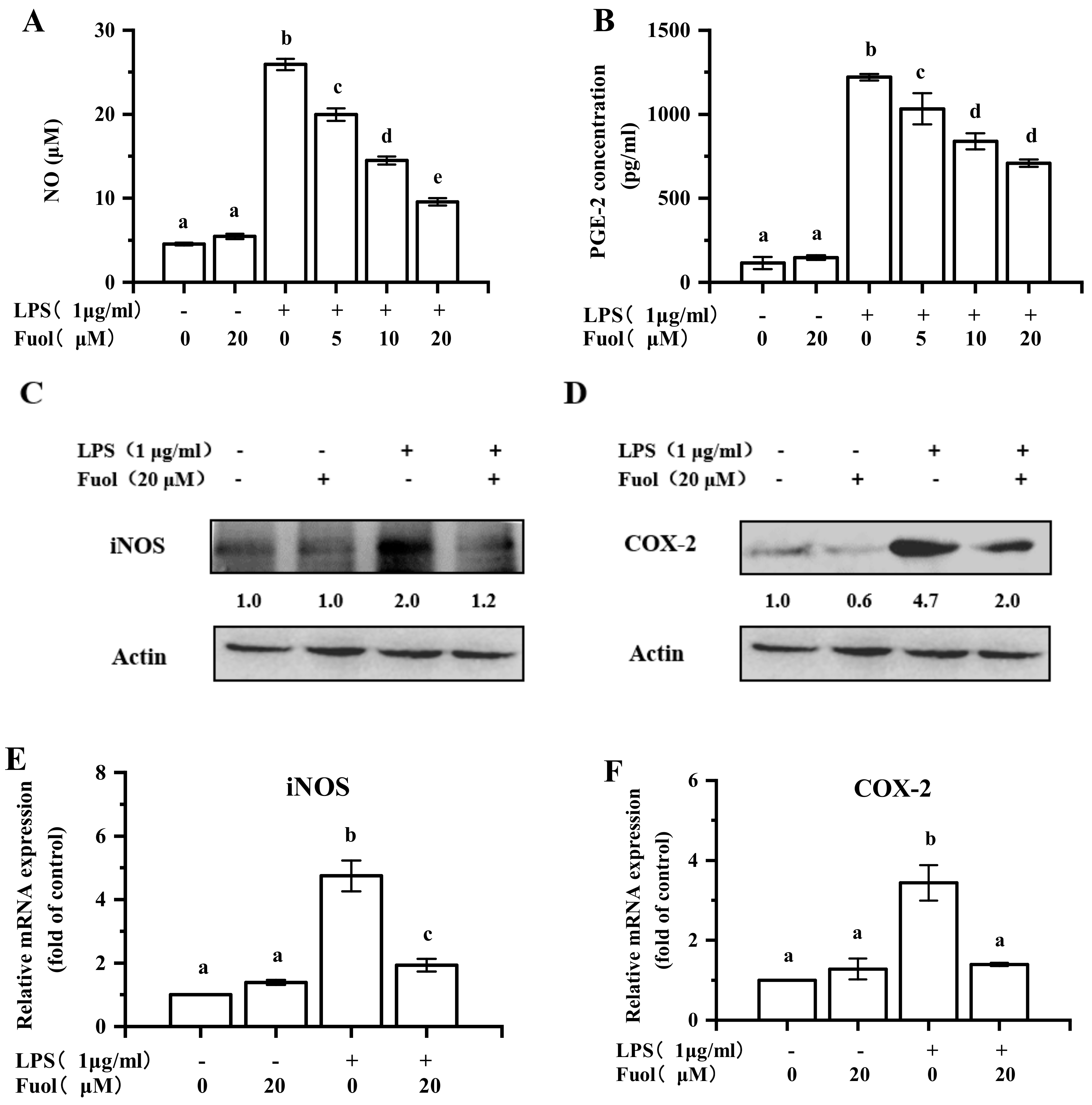 Marinedrugs 18 00116 g003 Marinedrugs 18 00116 g003