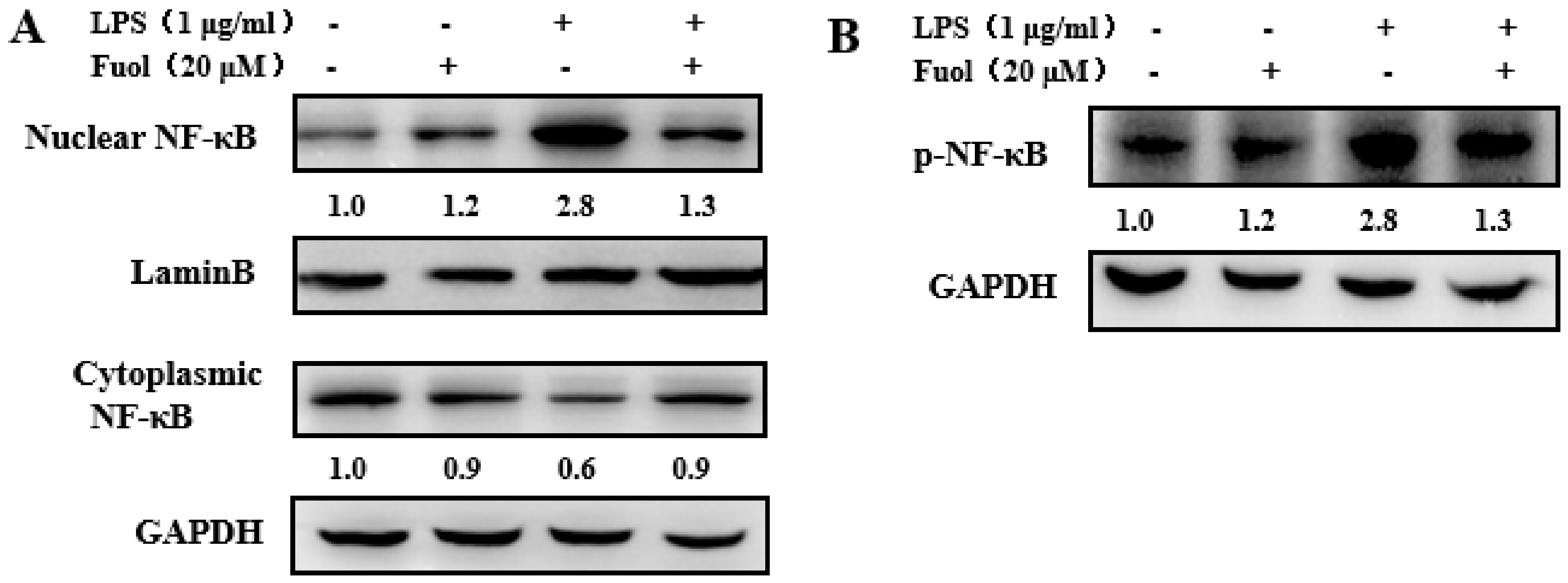 Marinedrugs 18 00116 g005 Marinedrugs 18 00116 g005