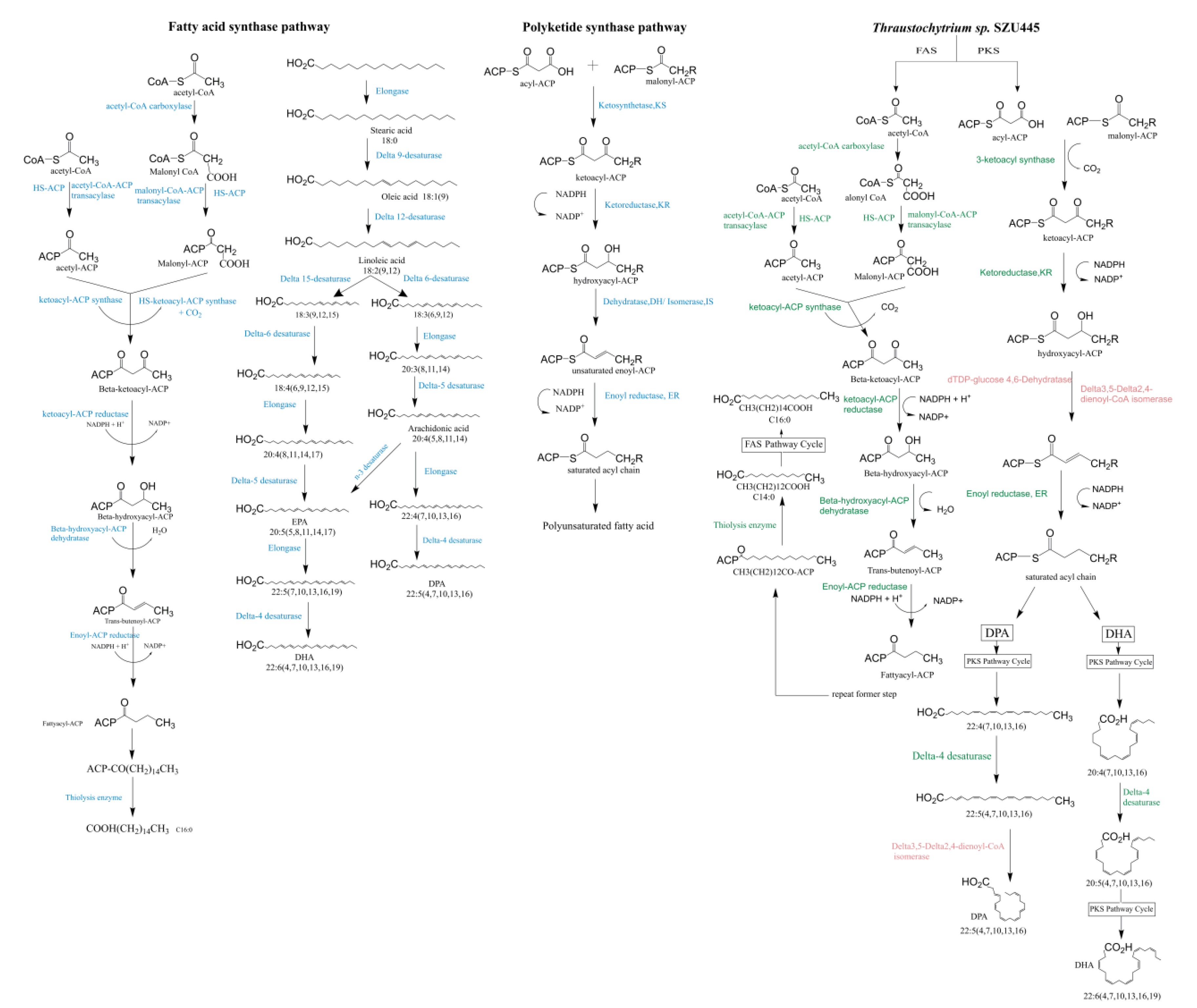 Marinedrugs 18 00118 g007