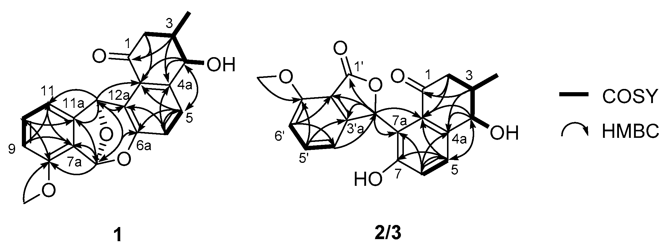 Marinedrugs 18 00121 g002