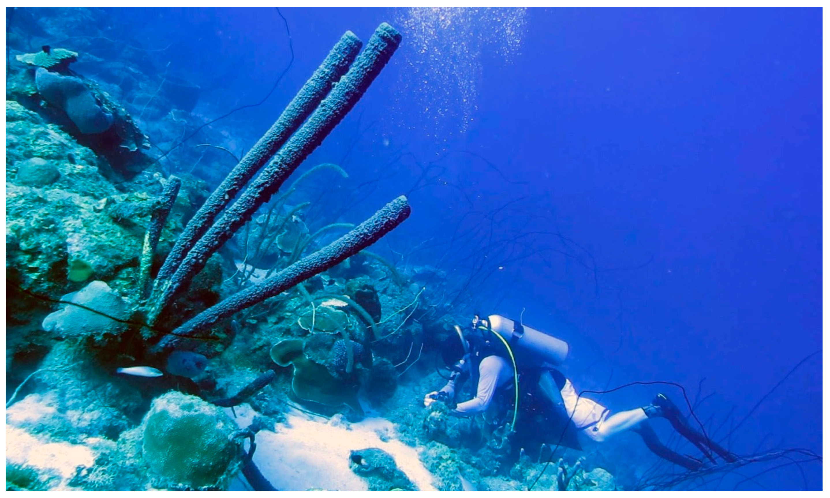 Marinedrugs 18 00123 g001 Marinedrugs 18 00123 g001