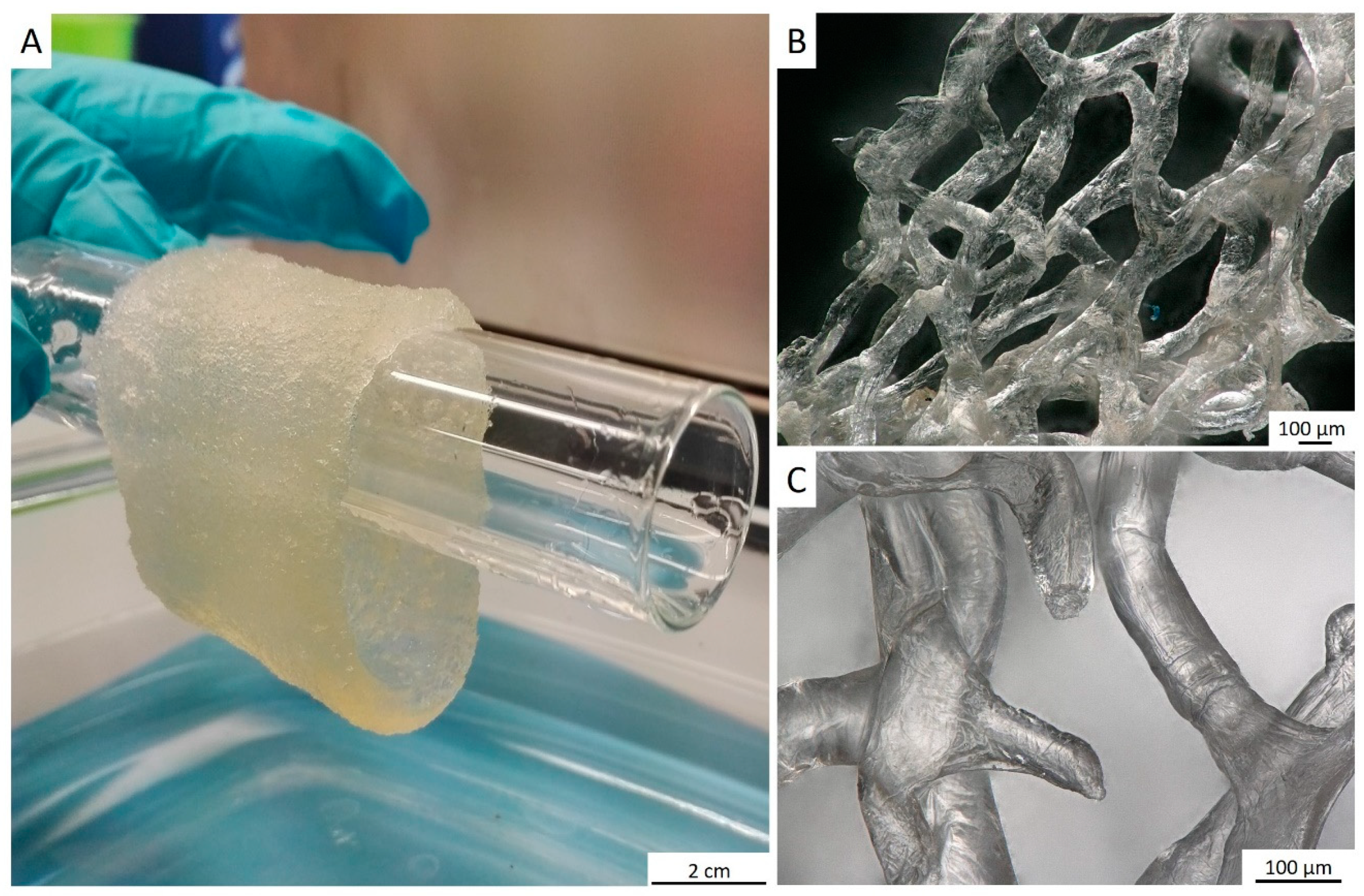 Marinedrugs 18 00123 g006 Marinedrugs 18 00123 g006