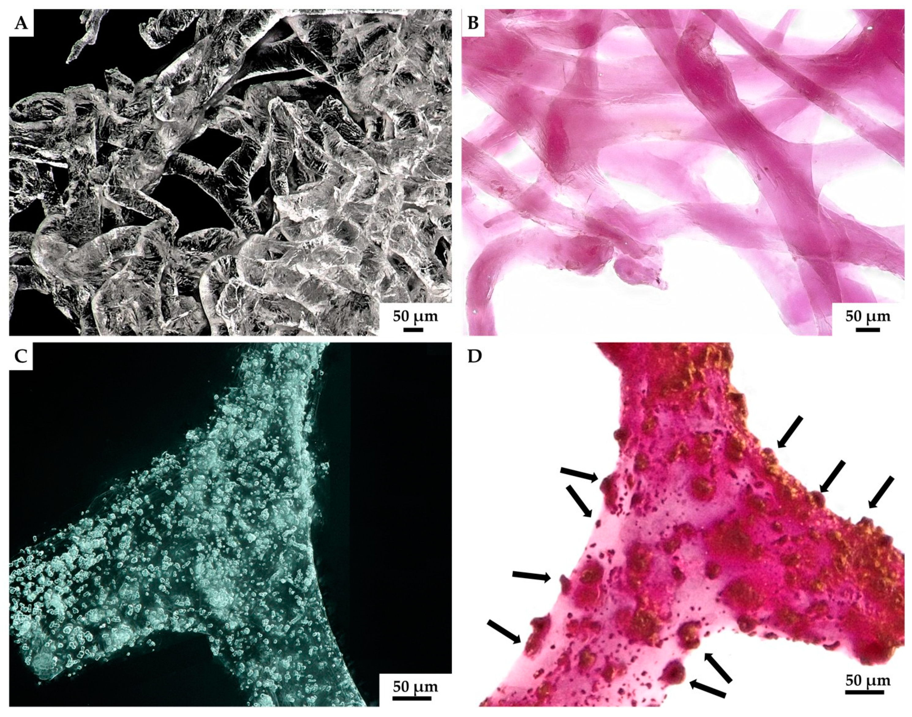 Marinedrugs 18 00123 g009 Marinedrugs 18 00123 g009