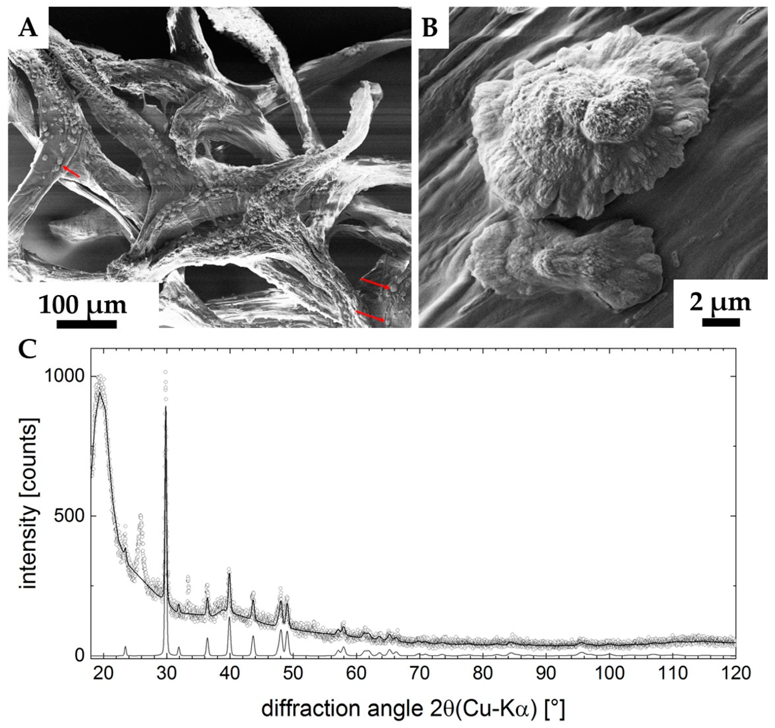 Marinedrugs 18 00123 g011 Marinedrugs 18 00123 g011