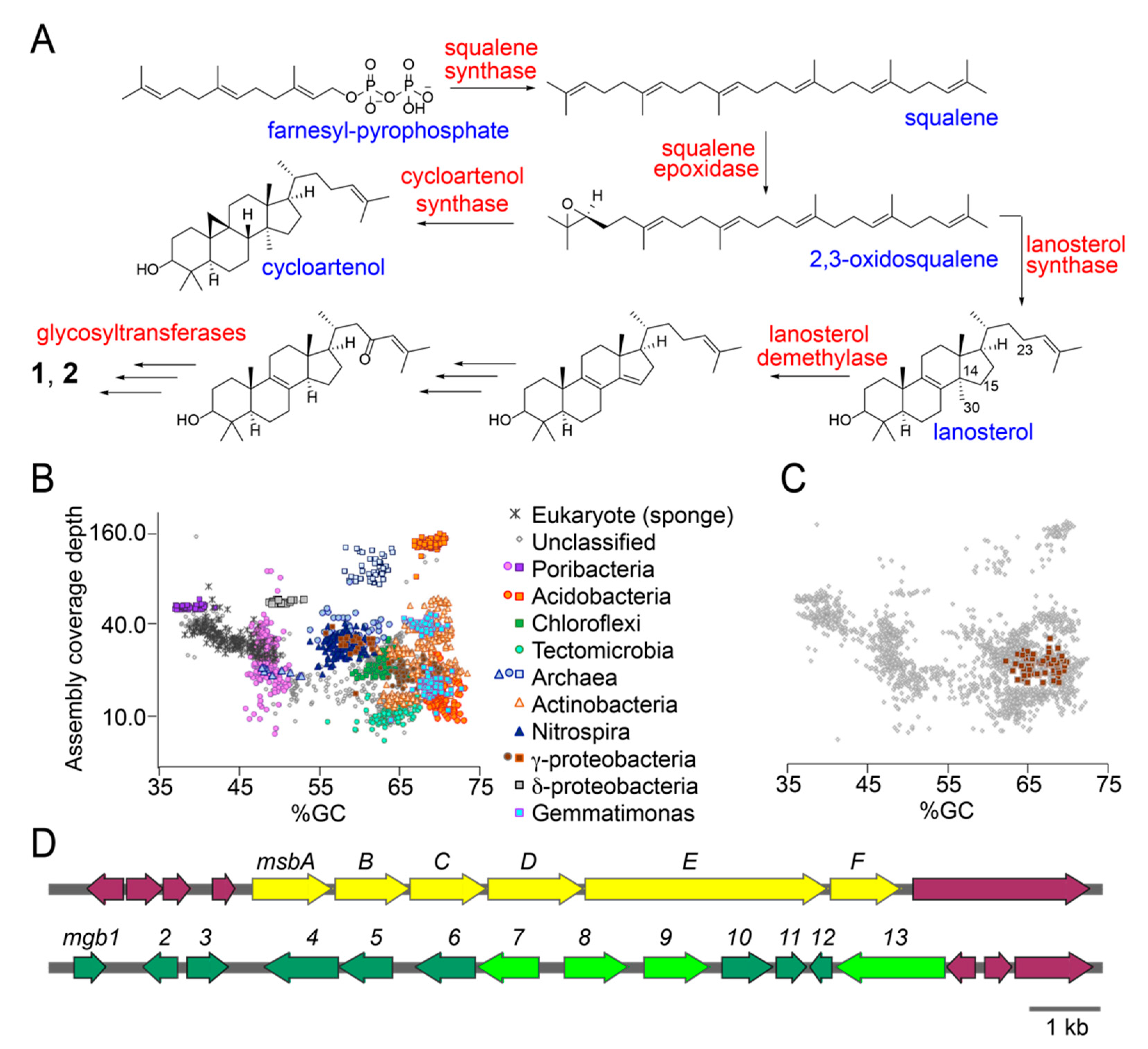 Marinedrugs 18 00124 g004 Marinedrugs 18 00124 g004