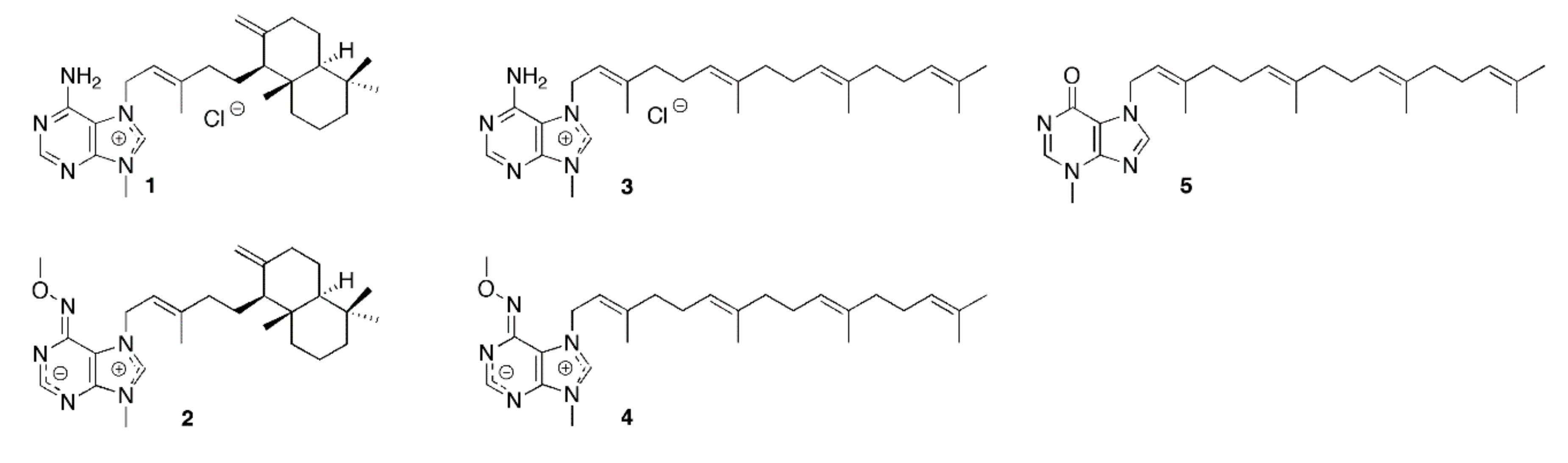Marinedrugs 18 00125 g001