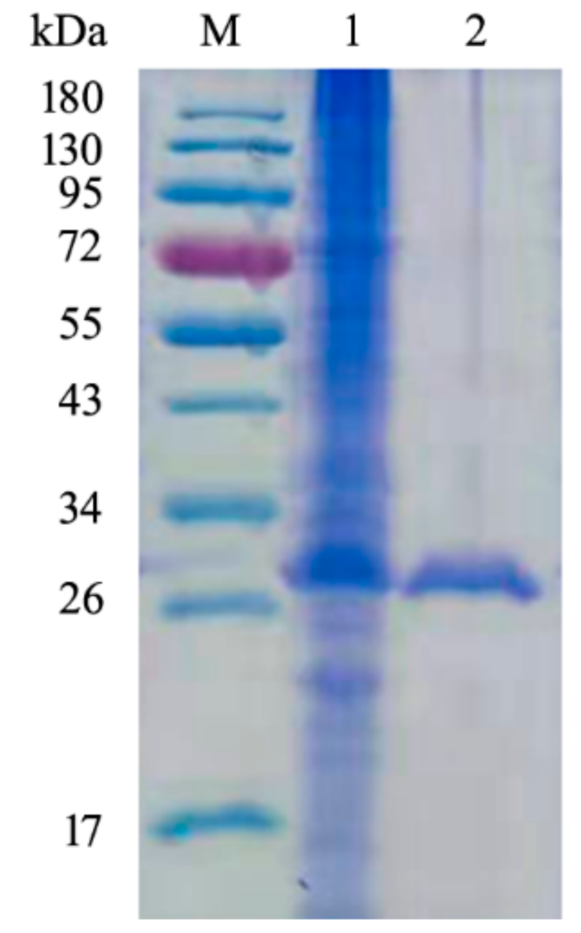 Marinedrugs 18 00126 g003