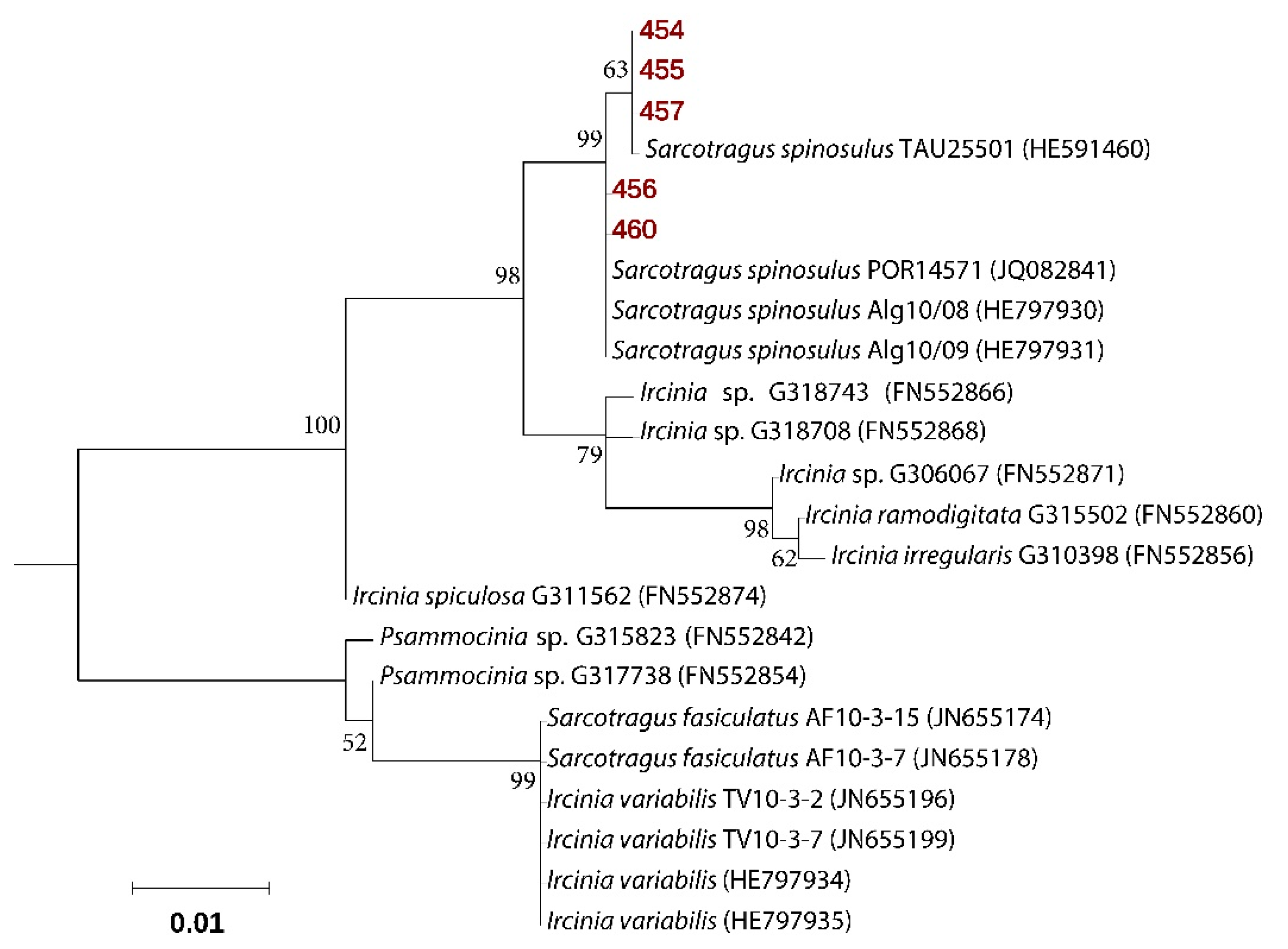 Marinedrugs 18 00127 g001