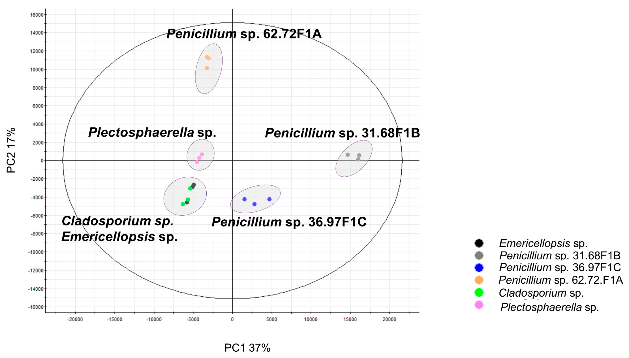 Marinedrugs 18 00128 g001
